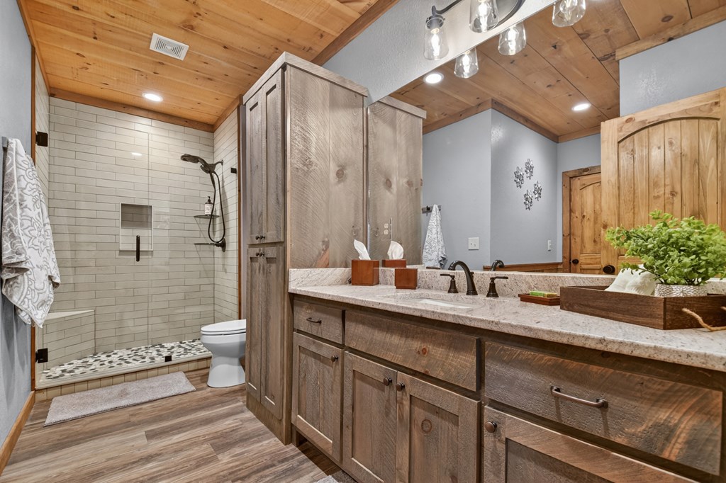1601 Shady Falls Road Blue Ridge, GA 30513 - Photo 57 of 70 Gallery Image 57