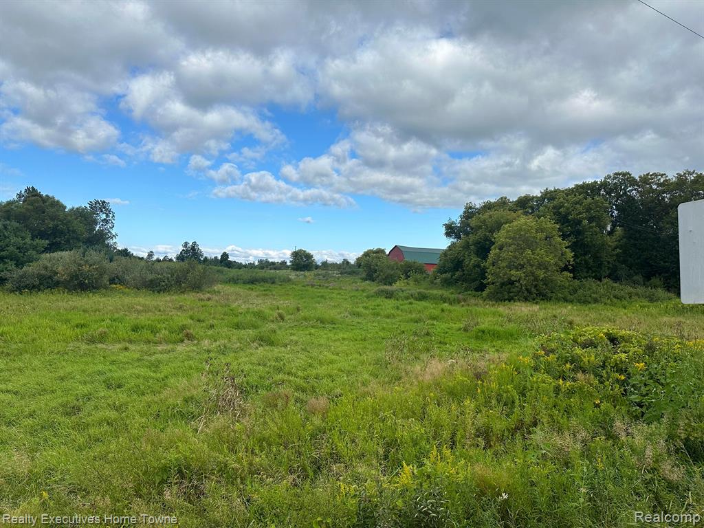 0 Wildcat Road Jeddo, MI 48032 - Photo 5 of 15