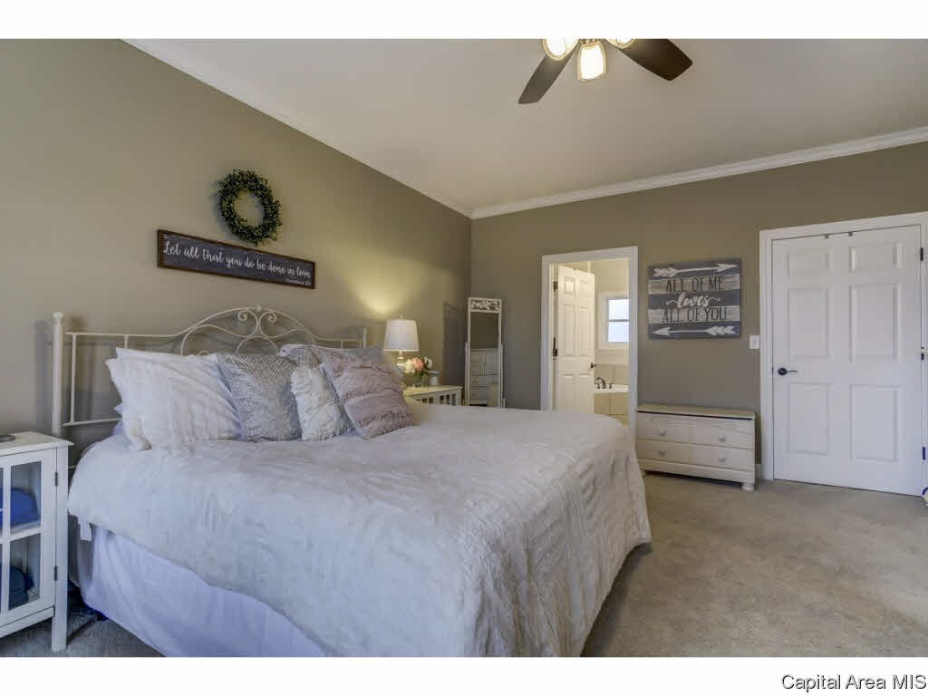 4475 East Divernon Road Pawnee, IL 62558 - Photo 15 of 36