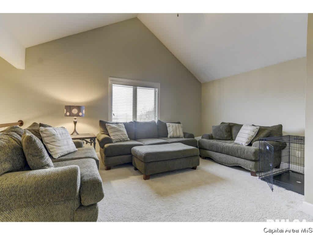 4475 East Divernon Road Pawnee, IL 62558 - Photo 20 of 36