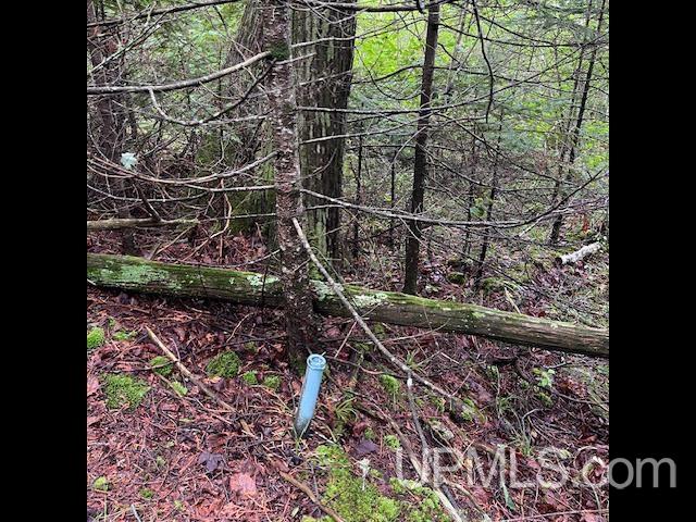 Tbd Cable Lake Road Crystal Falls, MI 49920 - Photo 5 of 20