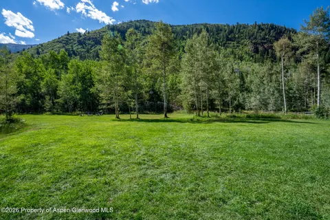 a view of a field with a tree in the background