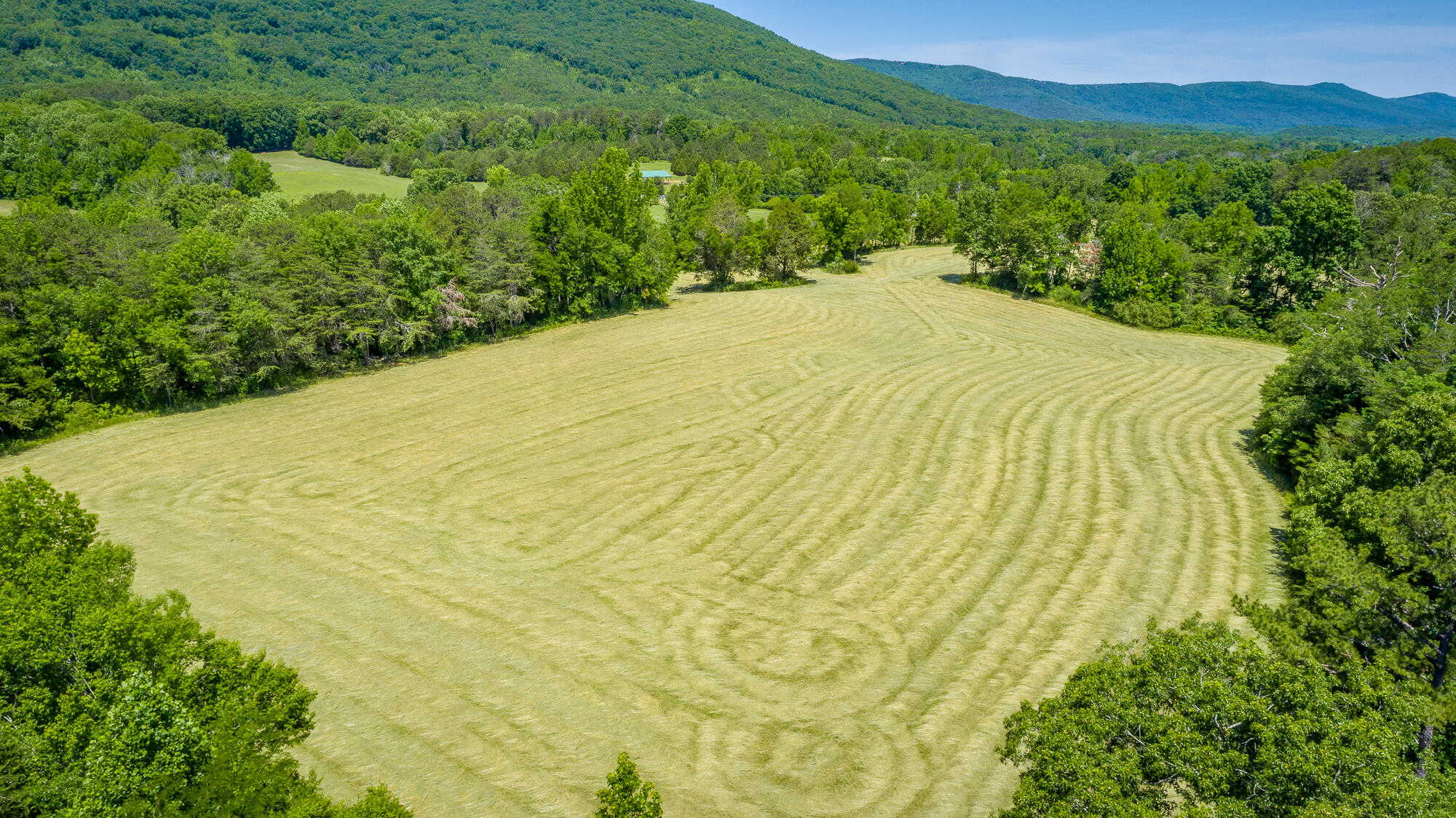 1655 West Cove Road Chickamauga, GA 30707 - Photo 48 of 62 1655 W Cove Road HD-7