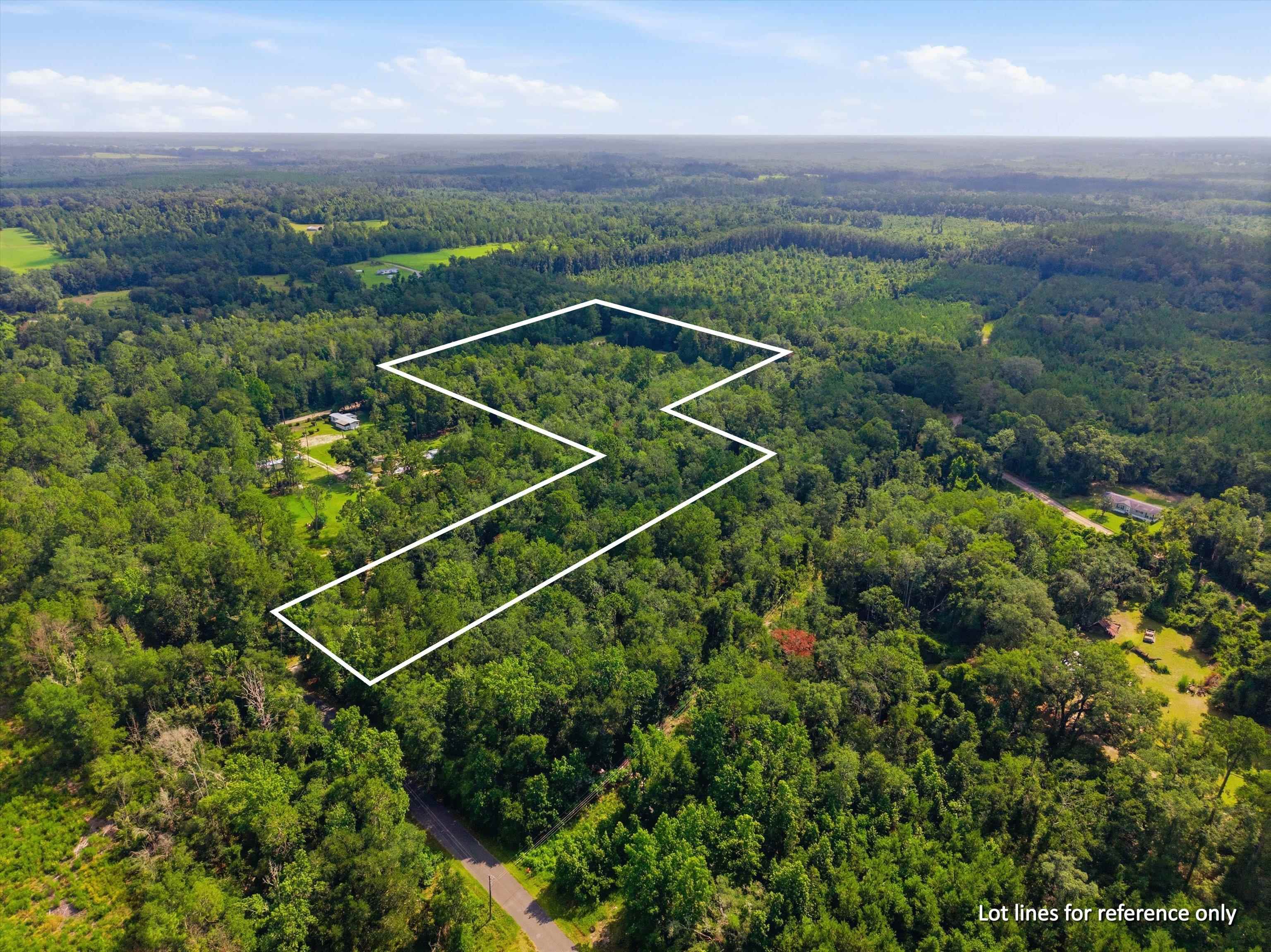 Xxx Neely Road Monticello, FL 32344 - Photo 11 of 37