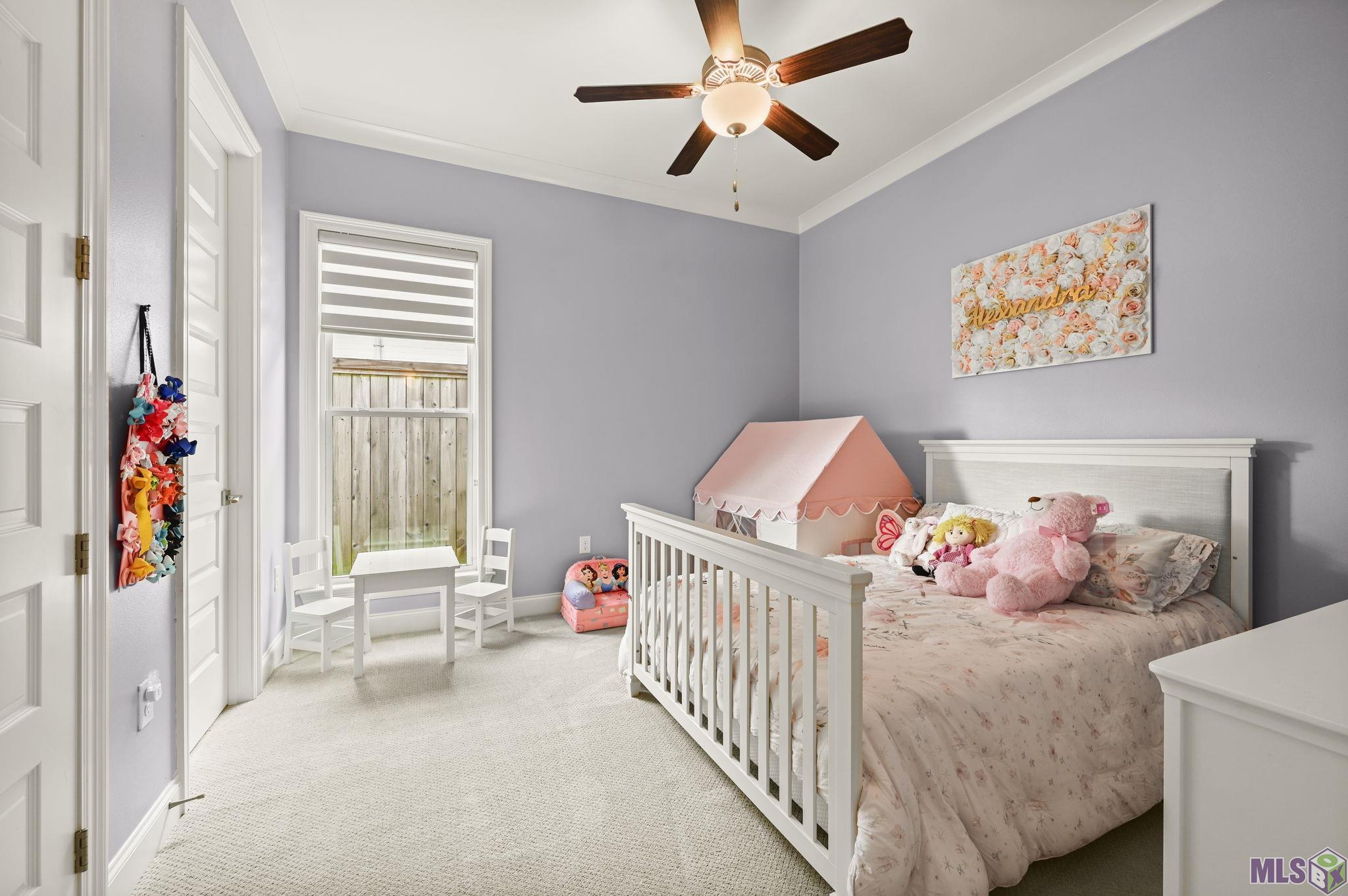 38191 Meadow Rue Drive Prairieville, LA 70769 - Photo 29 of 36