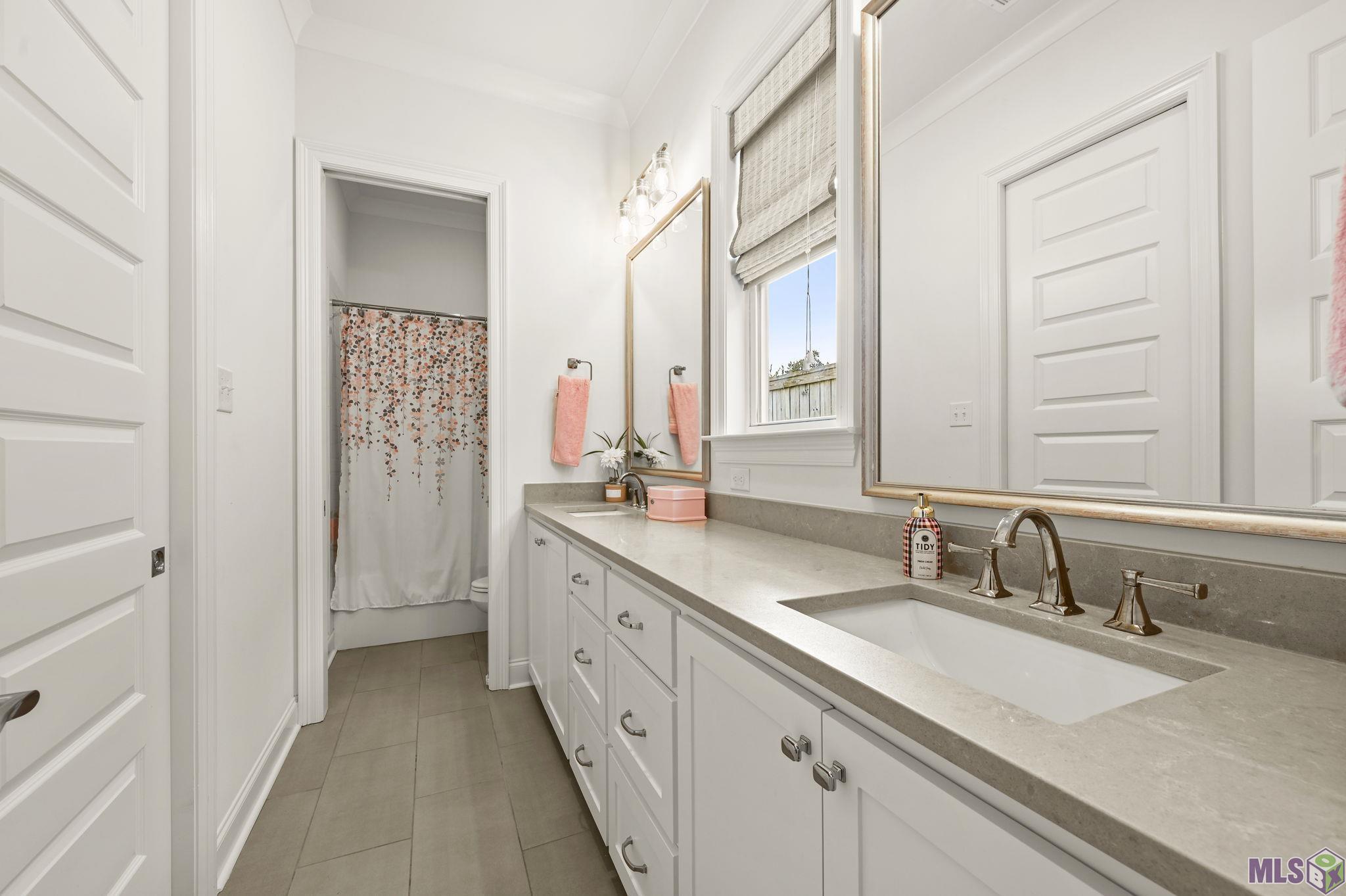 38191 Meadow Rue Drive Prairieville, LA 70769 - Photo 30 of 36