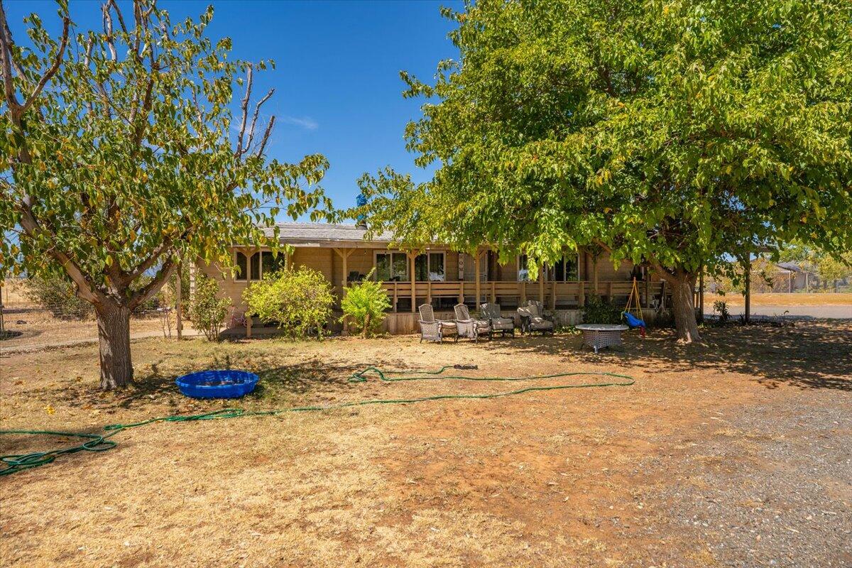 a front view of a house with a yard and a large tree
