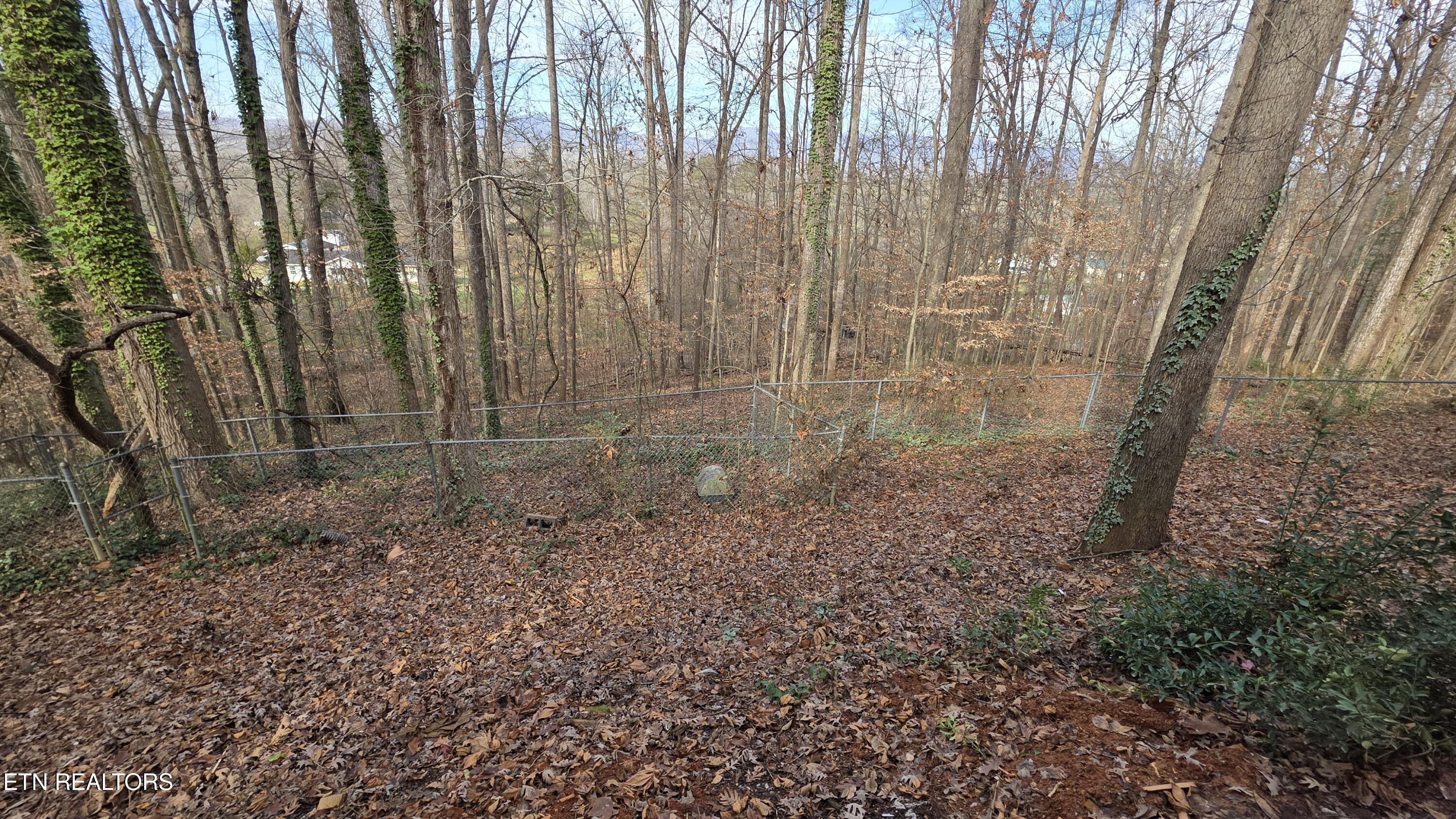 1135 West Outer Drive Oak Ridge, TN 37830 - Photo 58 of 60 1000007275