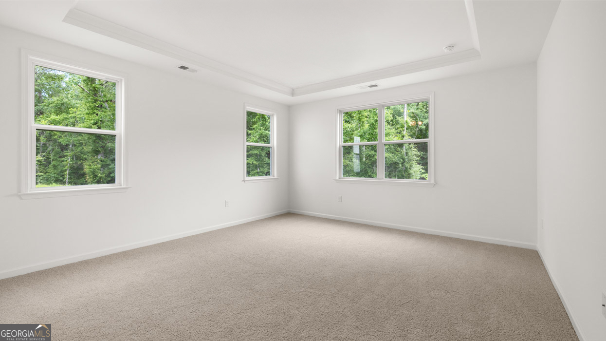 1775 Goodwin Drive Hampton, GA 30228 - Photo 23 of 49