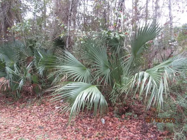 $55,000 | 358 20th Avenue, Apalachicola, FL 32320
