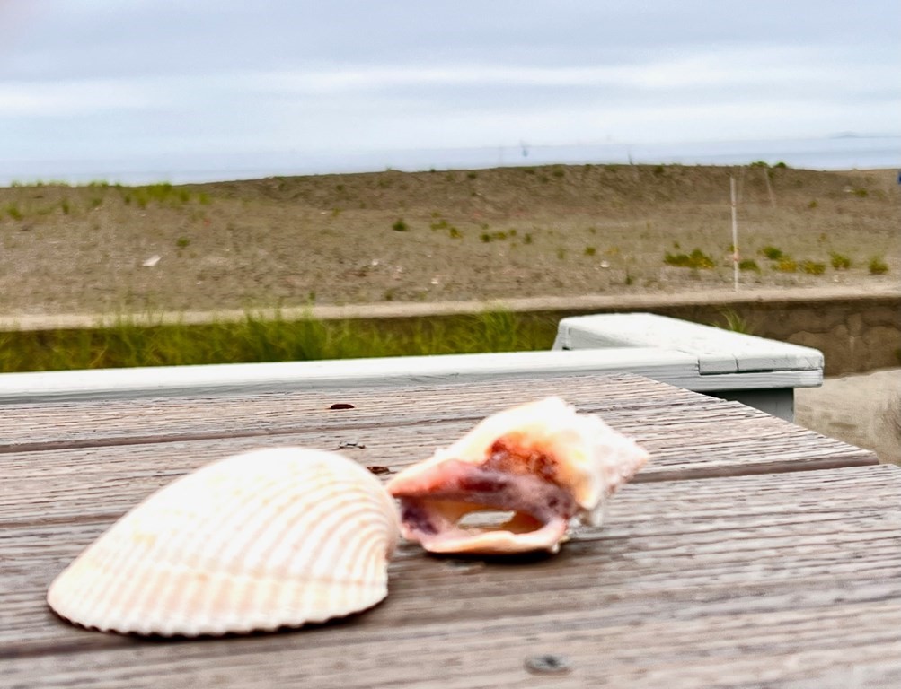 151 The Strand Winthrop, MA 02152 - Photo 34 of 36 a view of a terrace with outdoor space
