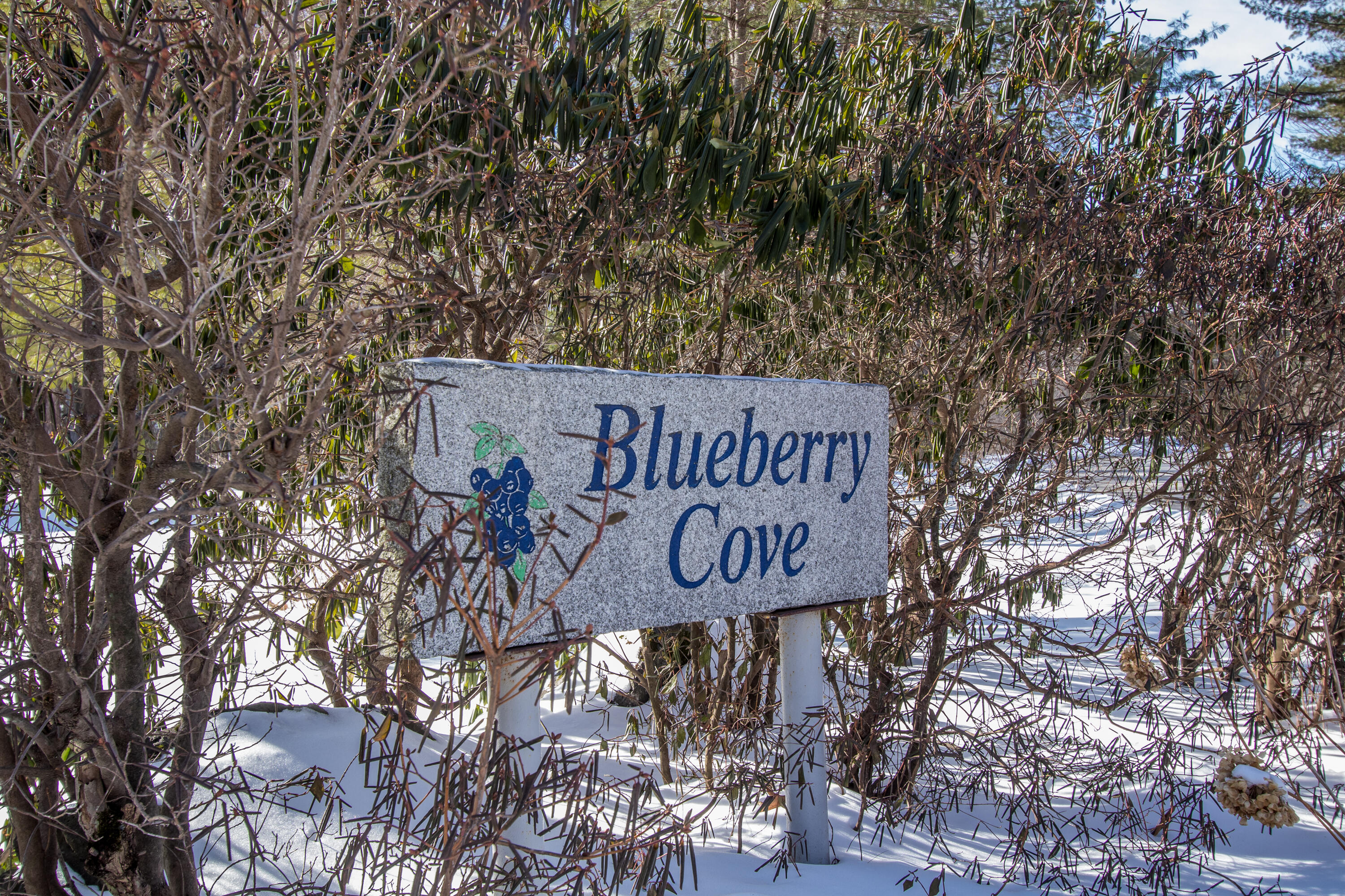 17 Blueberry Cove Road, Unit 17 Yarmouth, ME 04096 - Photo 62 of 62 20210212KH-51001