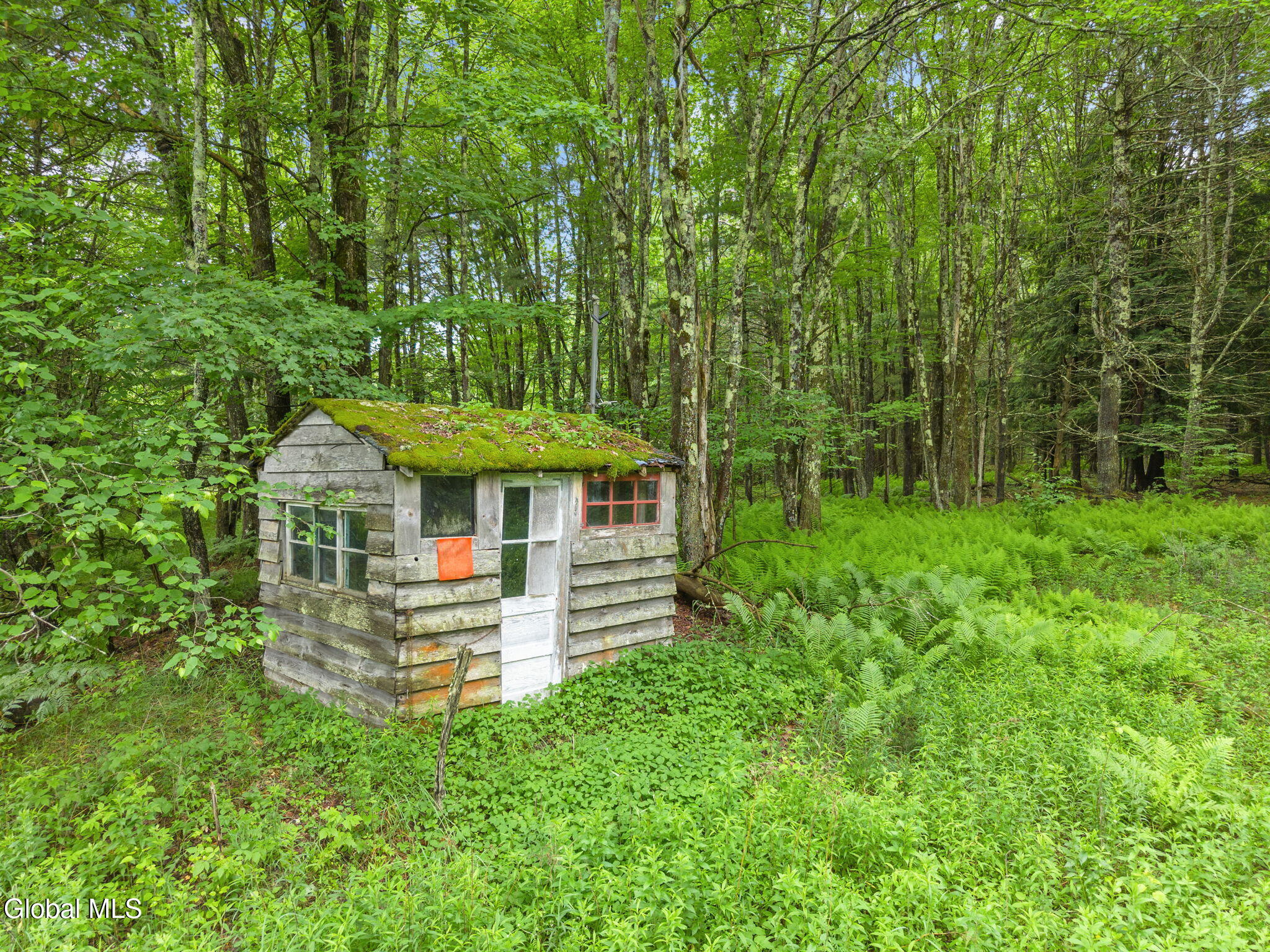 159 Ely Road Gilboa, NY 12076 - Photo 67 of 83 66-159ElyRd_66