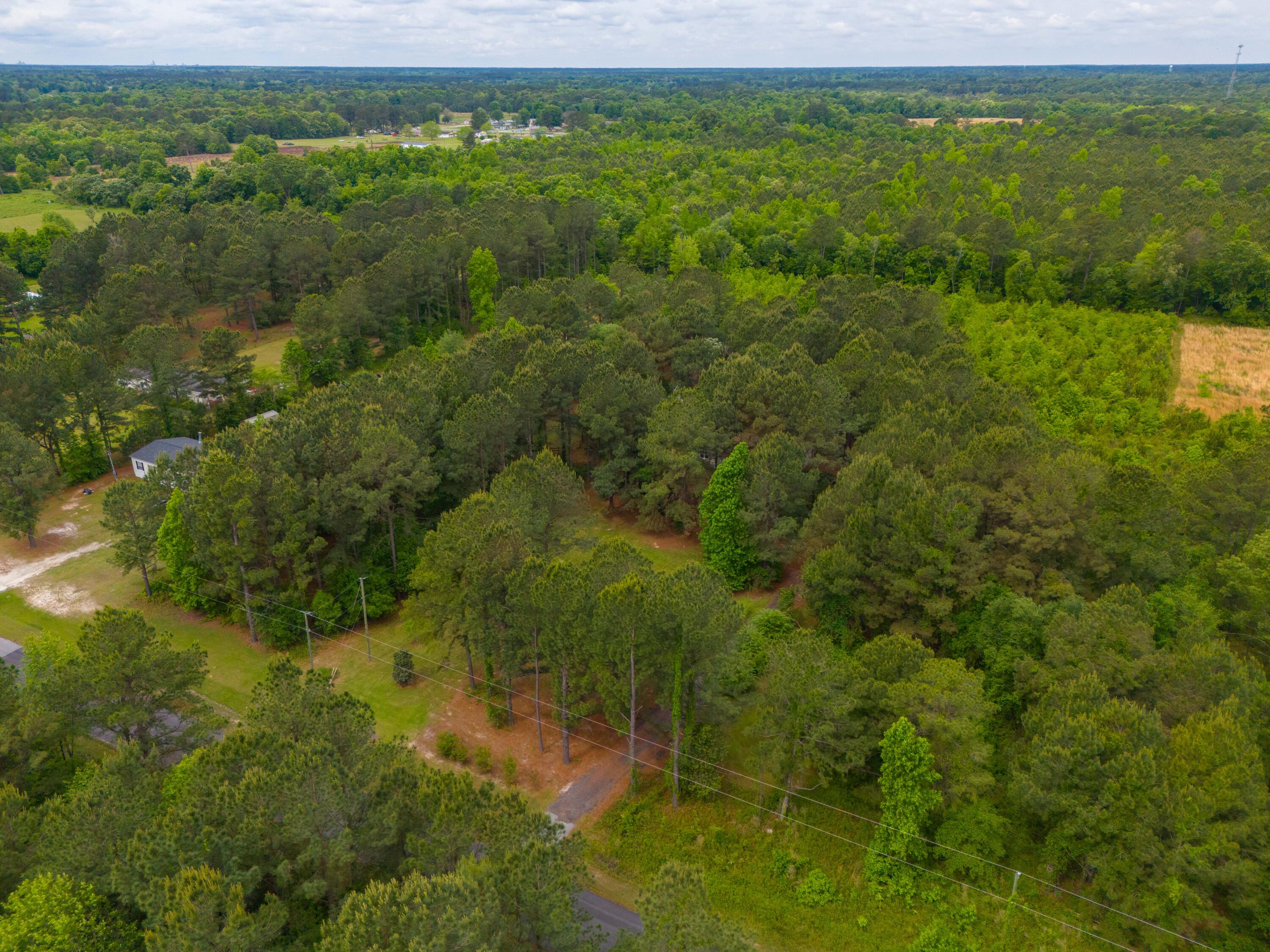 208 Rodeo Drive Eutawville, SC 29048 - Photo 12 of 44 DJI_20240422105859_0013_D