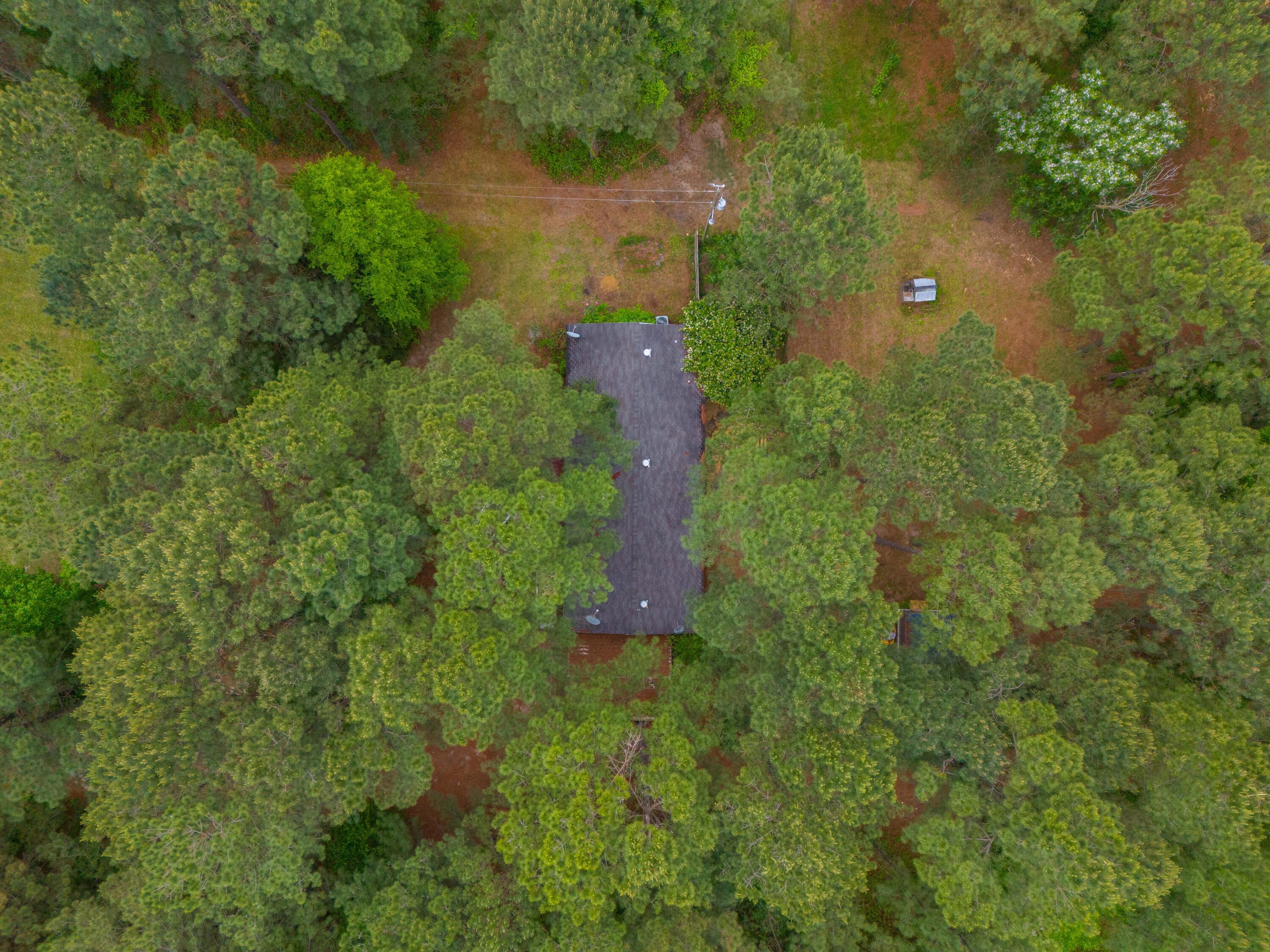 208 Rodeo Drive Eutawville, SC 29048 - Photo 13 of 44 DJI_20240422105933_0014_D