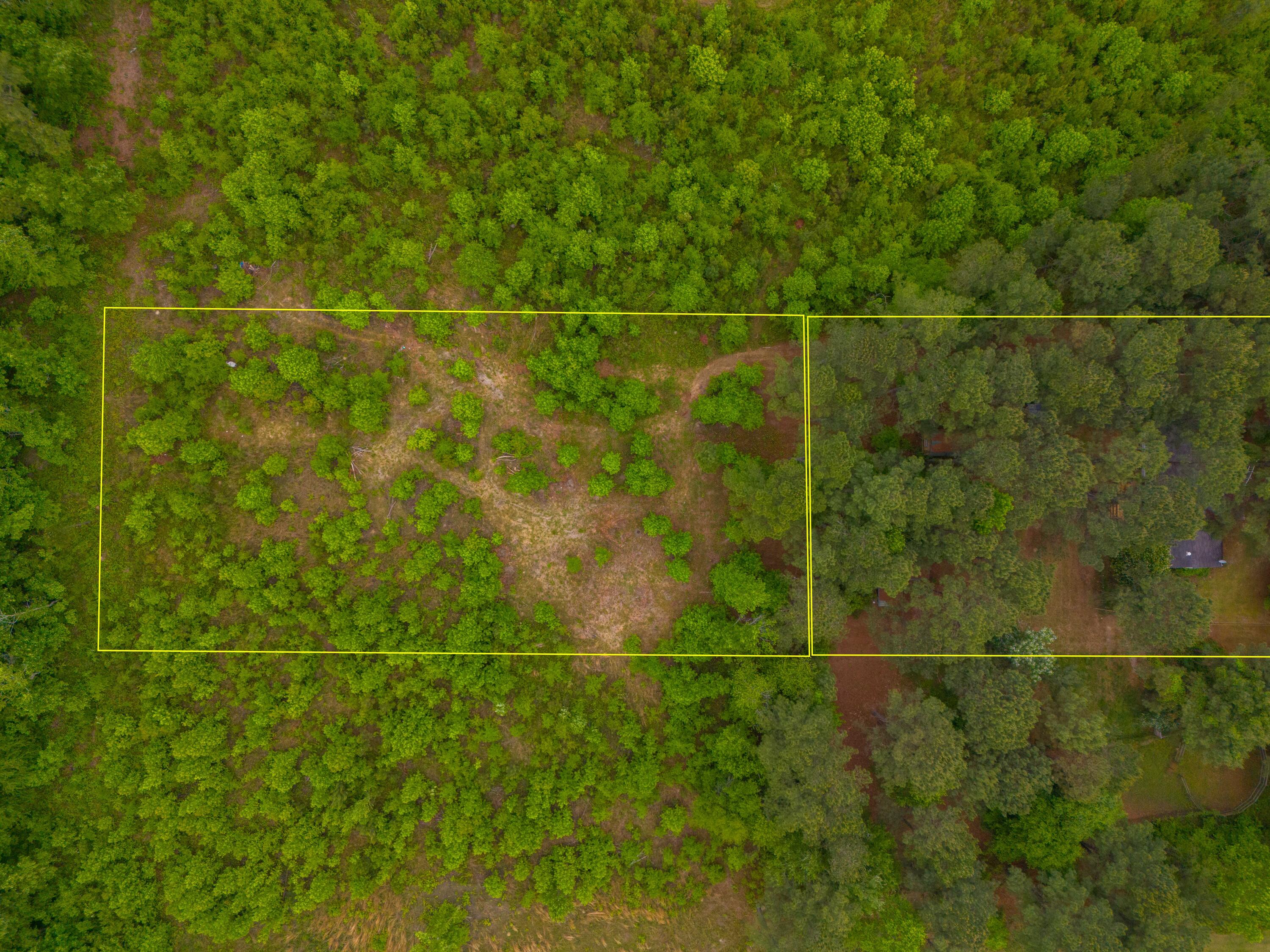 208 Rodeo Drive Eutawville, SC 29048 - Photo 2 of 44 DJI_20240422105154_0001_D-Edit