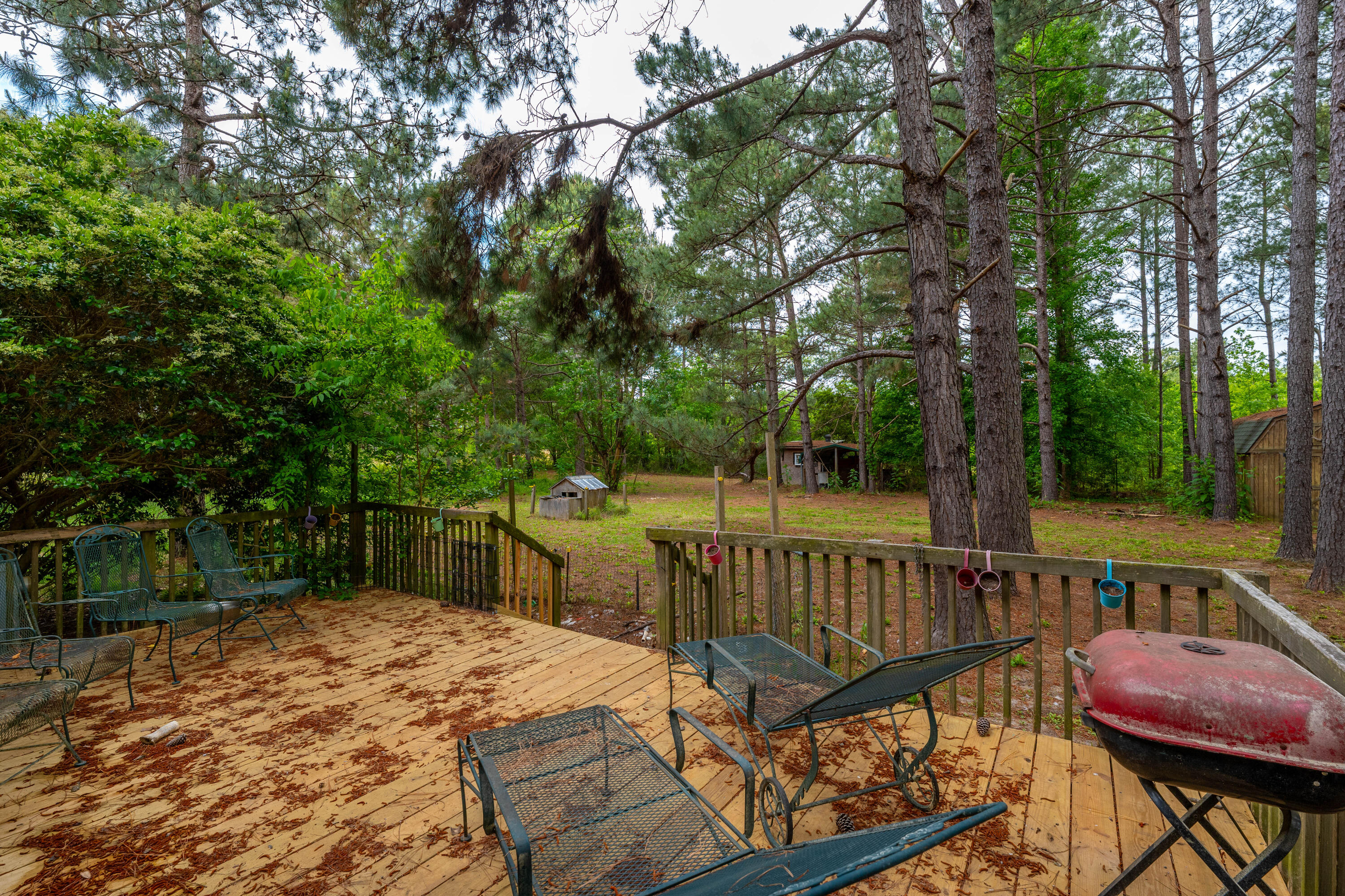 208 Rodeo Drive Eutawville, SC 29048 - Photo 28 of 44 P1032218