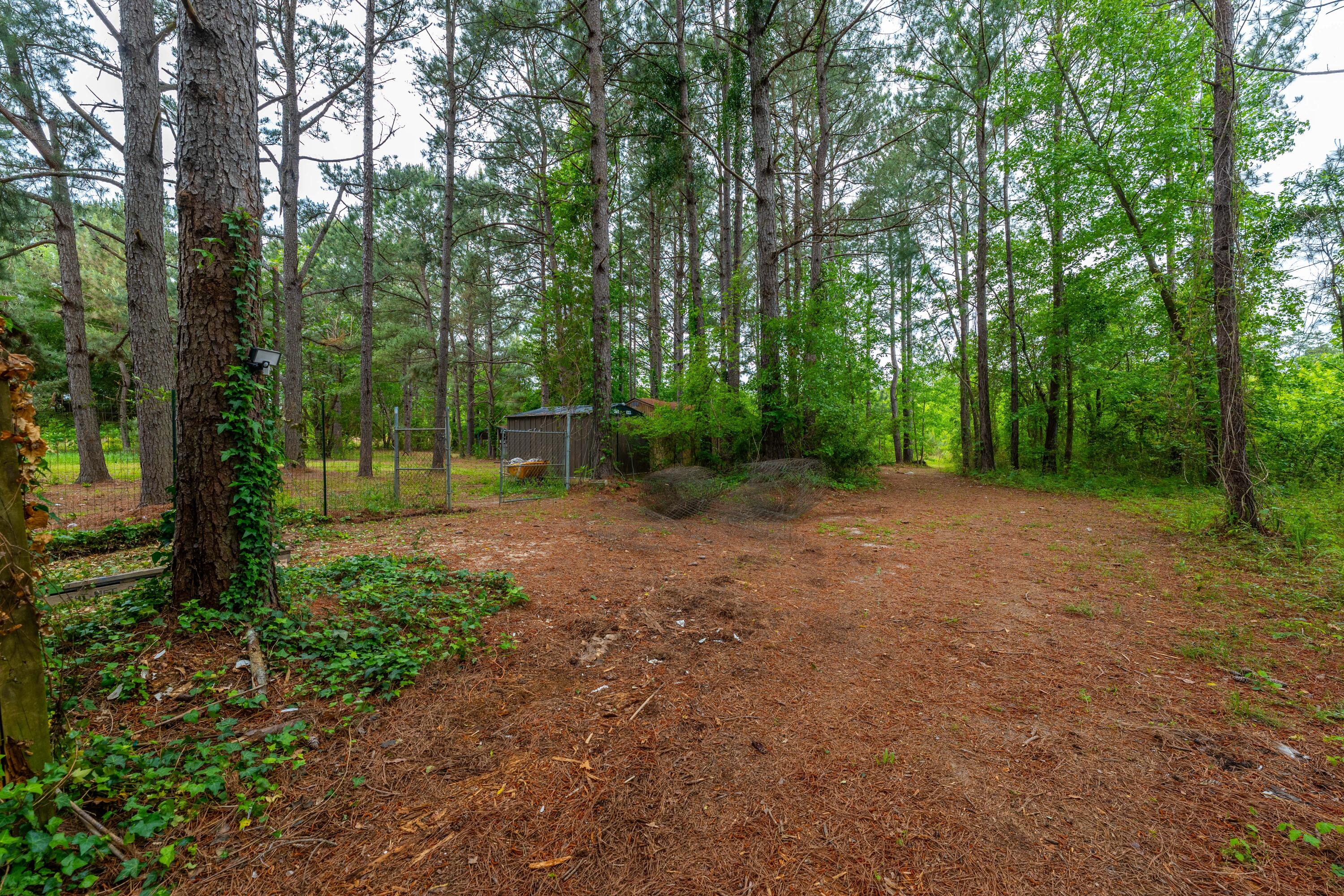 208 Rodeo Drive Eutawville, SC 29048 - Photo 36 of 44 P1032228