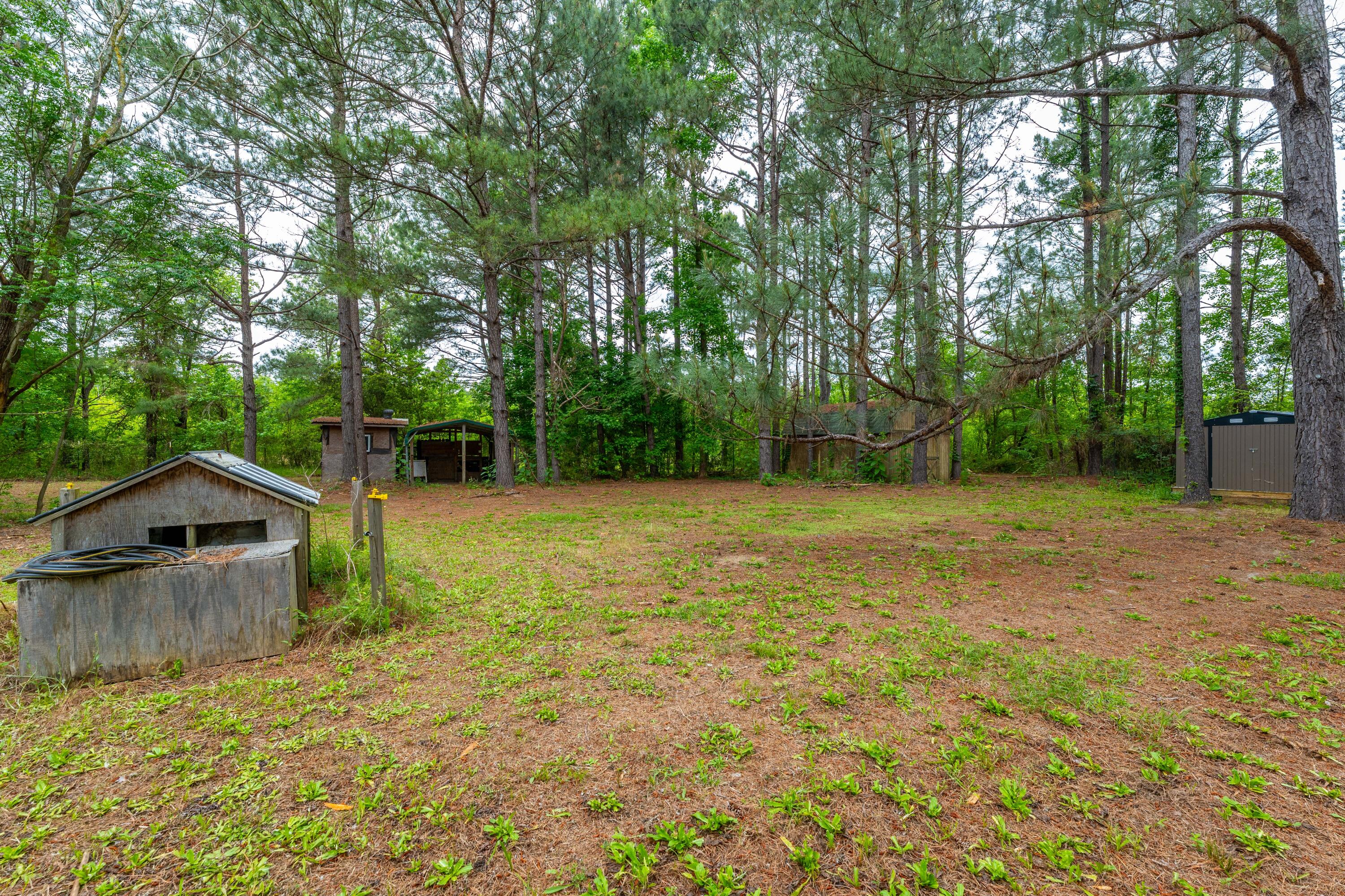 208 Rodeo Drive Eutawville, SC 29048 - Photo 39 of 44 P1032231