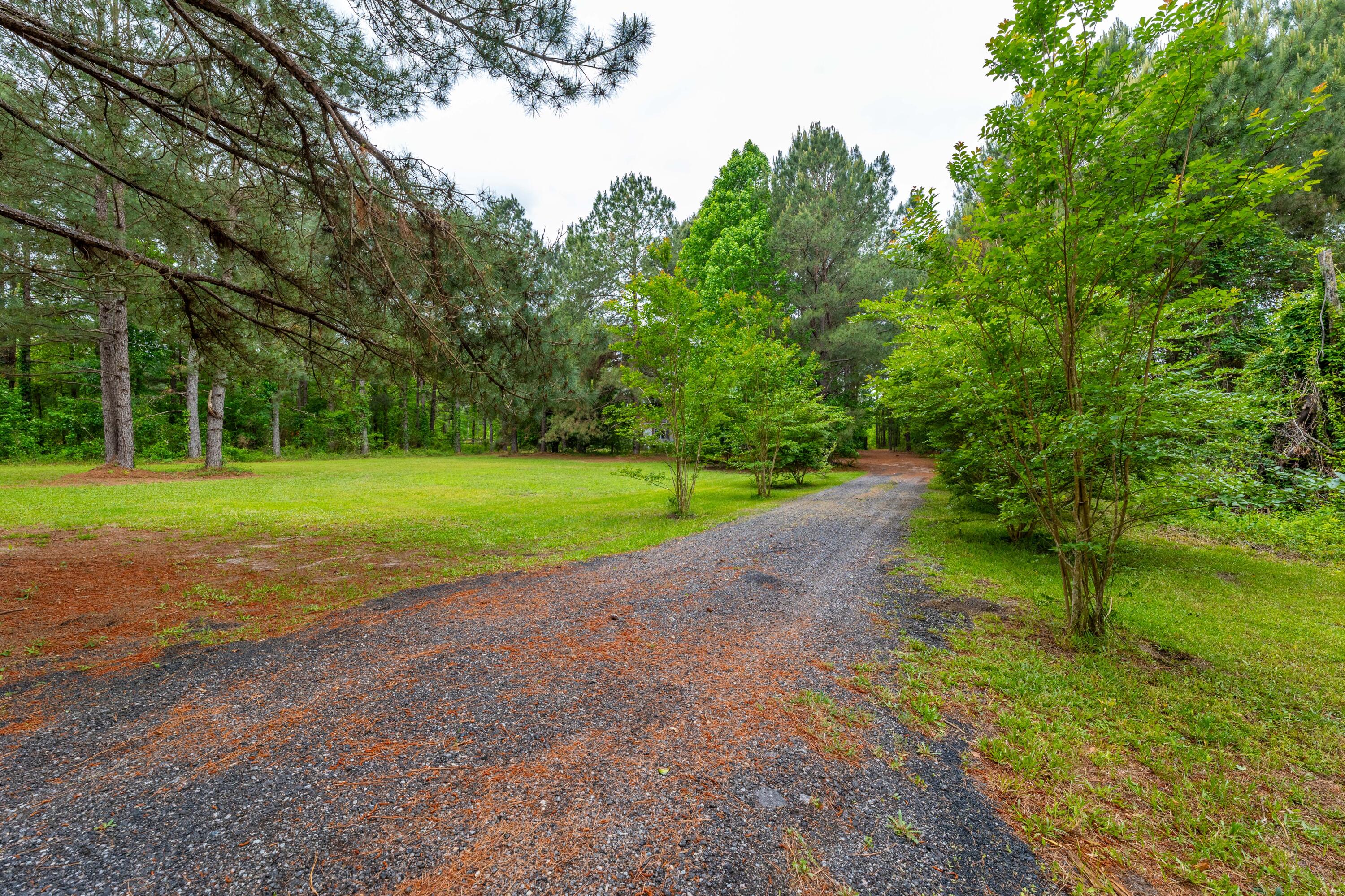 208 Rodeo Drive Eutawville, SC 29048 - Photo 42 of 44 P1032234