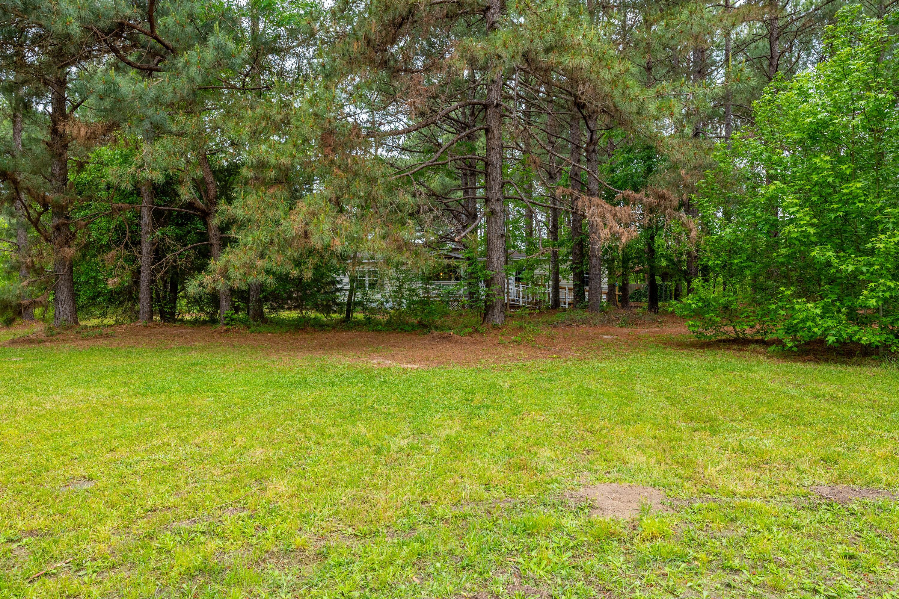 208 Rodeo Drive Eutawville, SC 29048 - Photo 44 of 44 P1032236