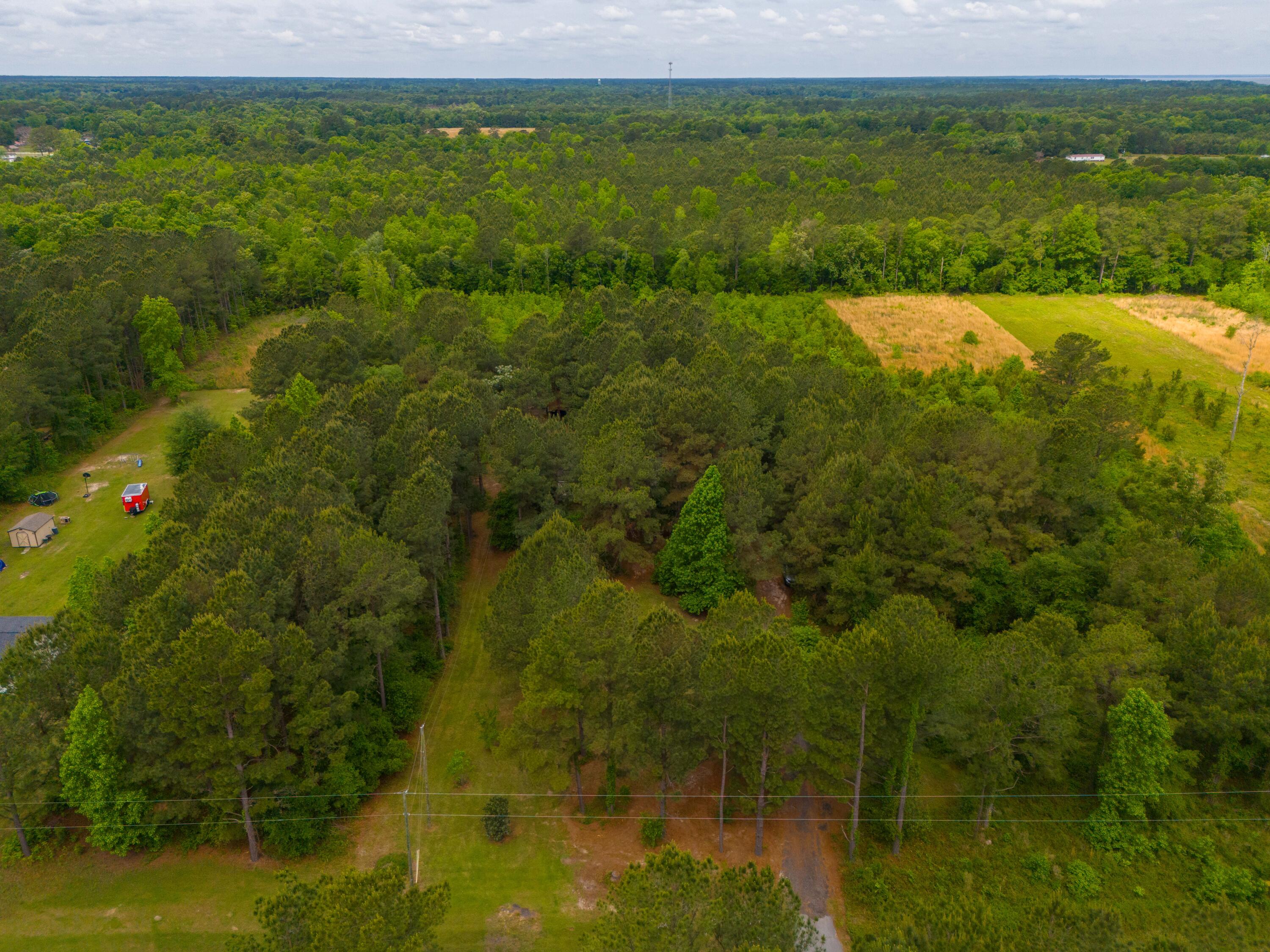 208 Rodeo Drive Eutawville, SC 29048 - Photo 10 of 44 DJI_20240422105828_0011_D