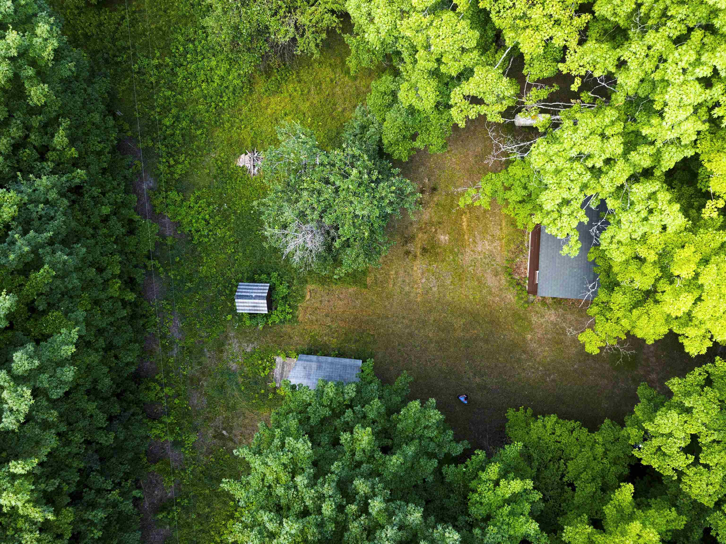 Crouch Road Fife Lake, MI 49633 - Photo 7 of 30 Gallery Image 7