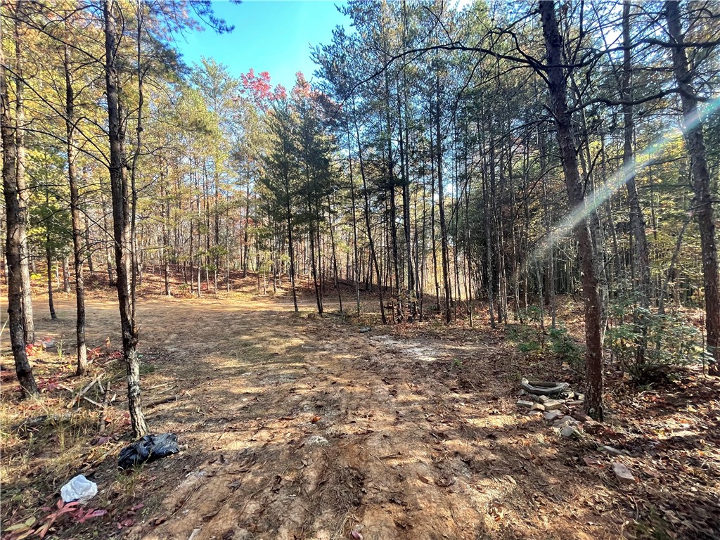 2 Shallow Ford Road Salem, SC 29676 - Photo 11 of 11 Gallery Image 11