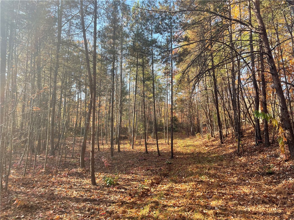2 Shallow Ford Road Salem, SC 29676 - Photo 4 of 11 Gallery Image 4