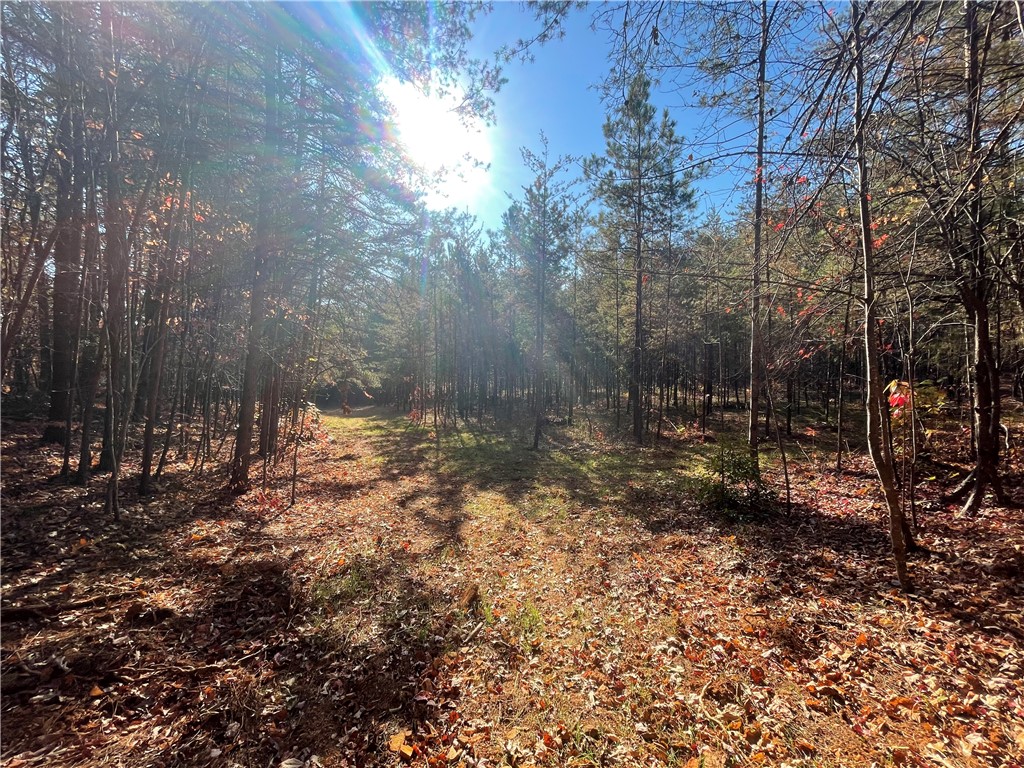 2 Shallow Ford Road Salem, SC 29676 - Photo 5 of 11 Gallery Image 5