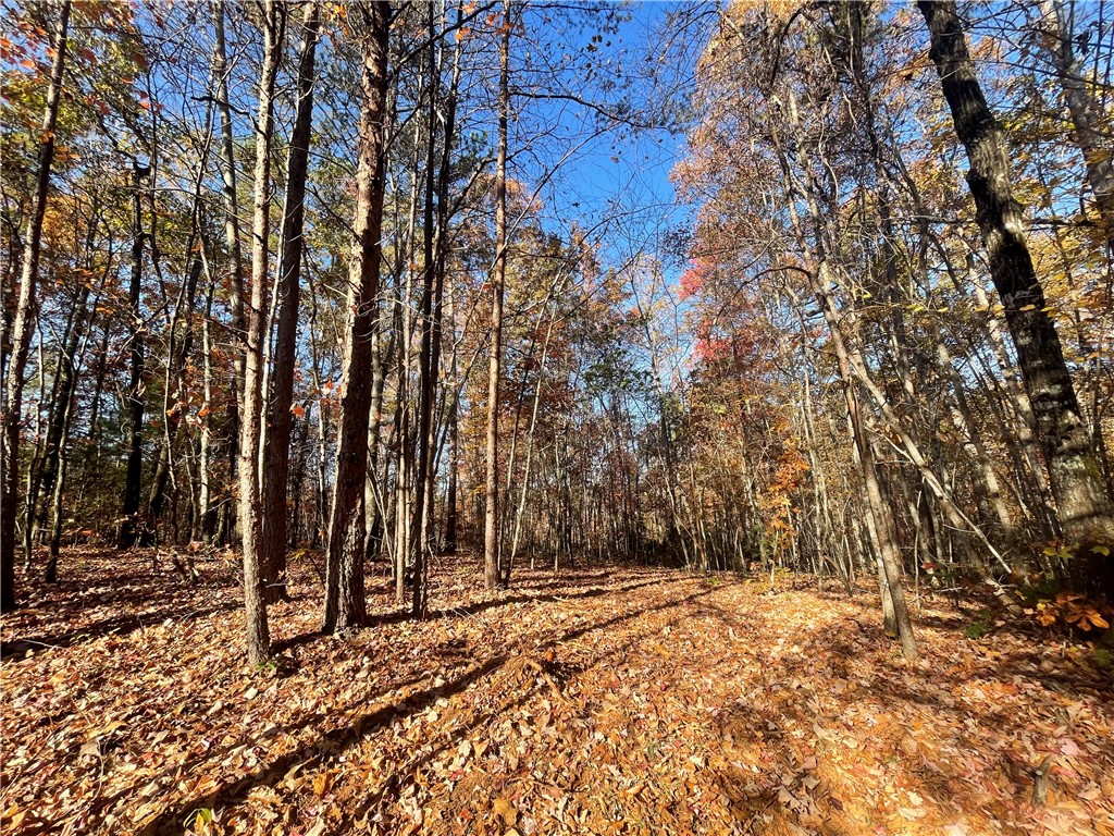 2 Shallow Ford Road Salem, SC 29676 - Photo 6 of 11 Gallery Image 6