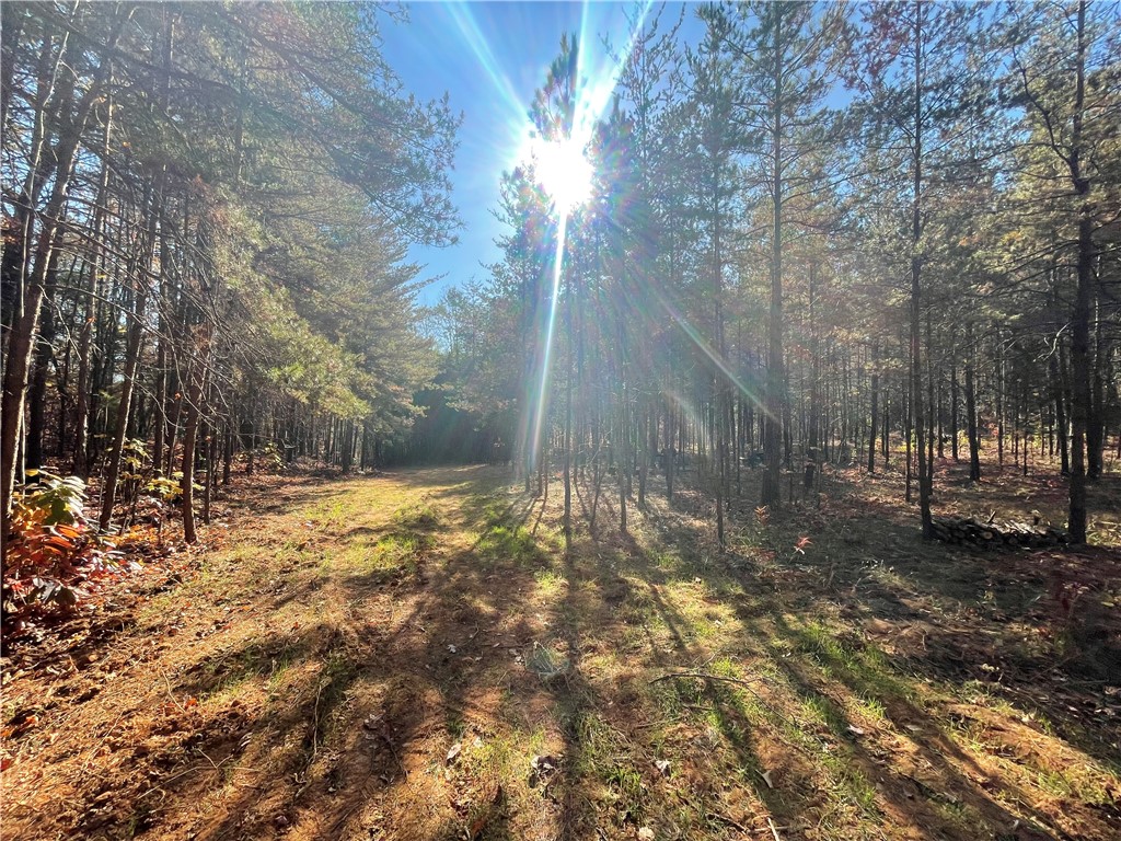 2 Shallow Ford Road Salem, SC 29676 - Photo 7 of 11 Gallery Image 7