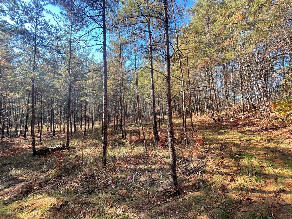 2 Shallow Ford Road Salem, SC 29676 - Photo 8 of 11 Gallery Image 8