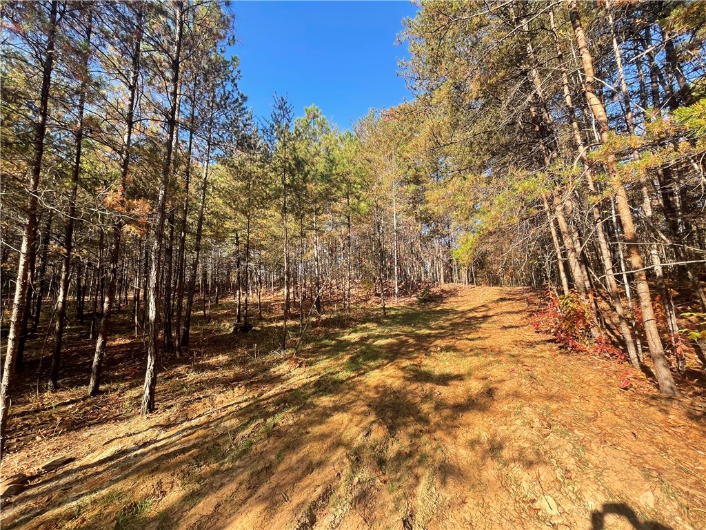 2 Shallow Ford Road Salem, SC 29676 - Photo 9 of 11 Gallery Image 9