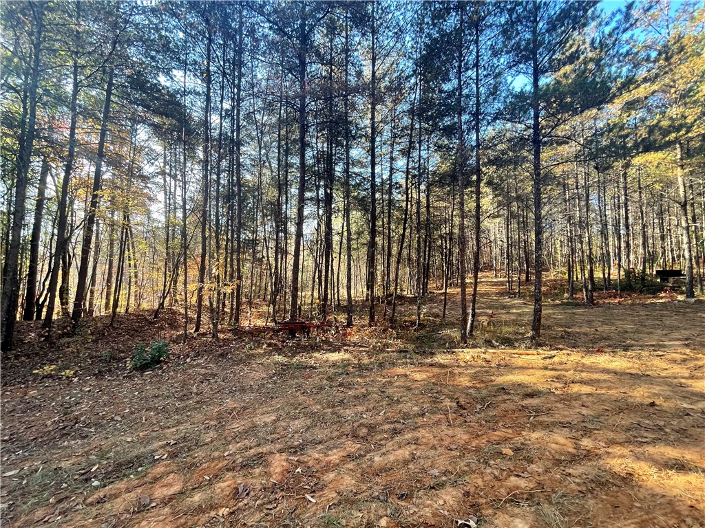 2 Shallow Ford Road Salem, SC 29676 - Photo 10 of 11 Gallery Image 10