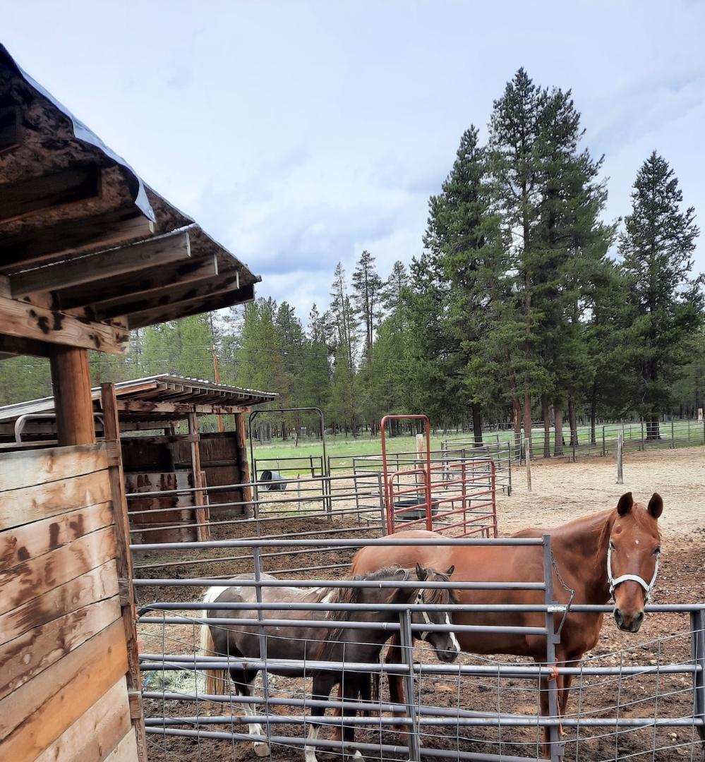 9241 Split Rail Road La Pine, OR 97739 - Photo 43 of 57 Barn Area