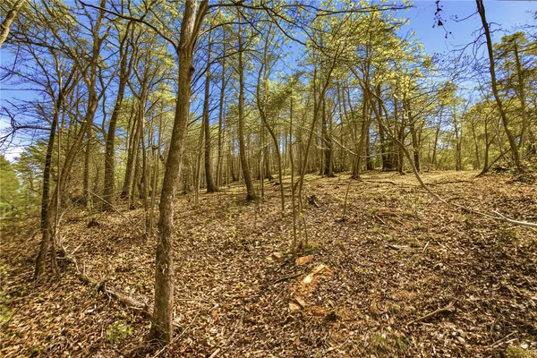 $7,500 | Lot 36 Brandywine Drive, Westminster, SC 29693