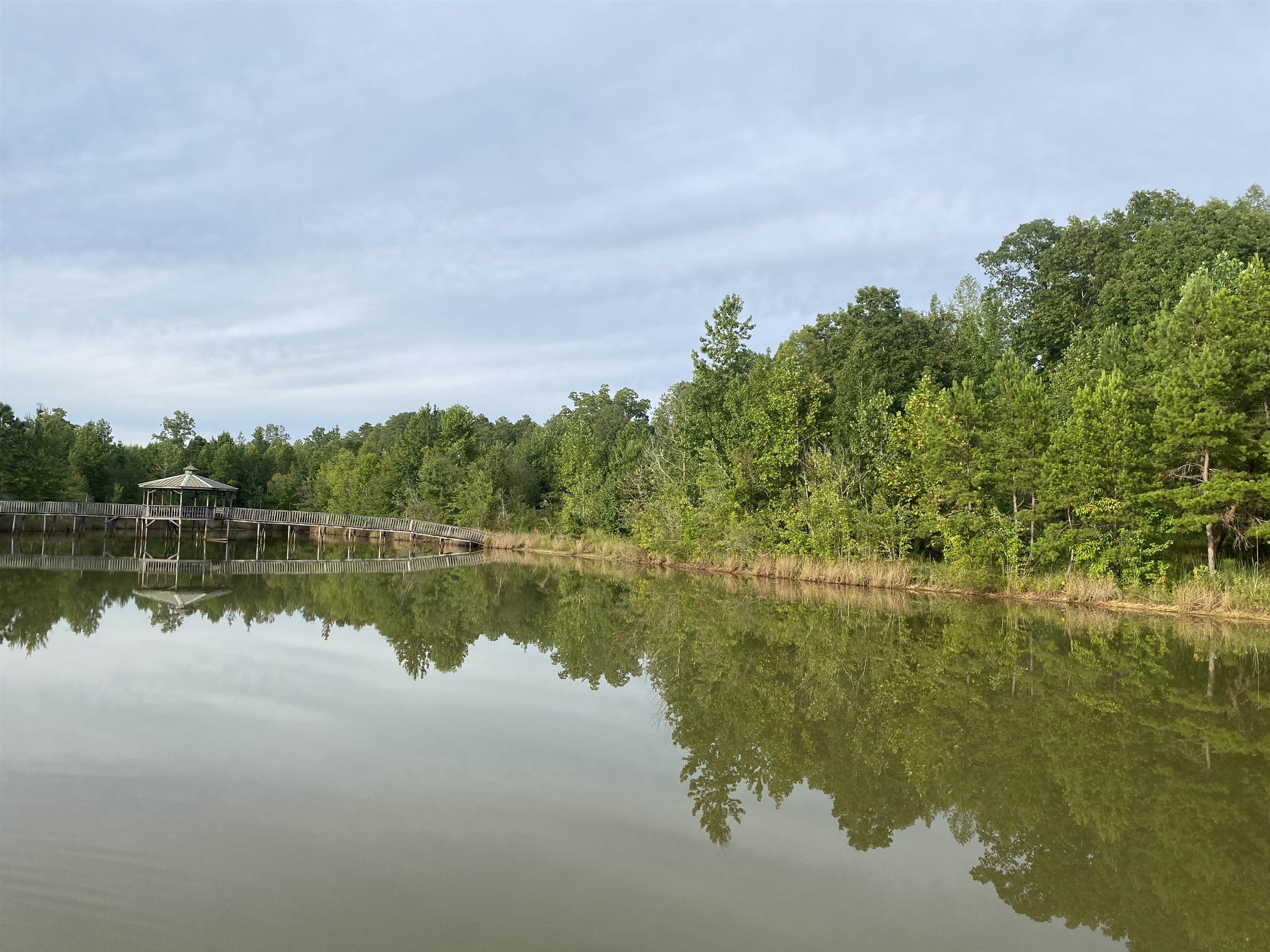 1 Bruton Road Savannah, TN 38372 - Photo 15 of 38 a view of lake