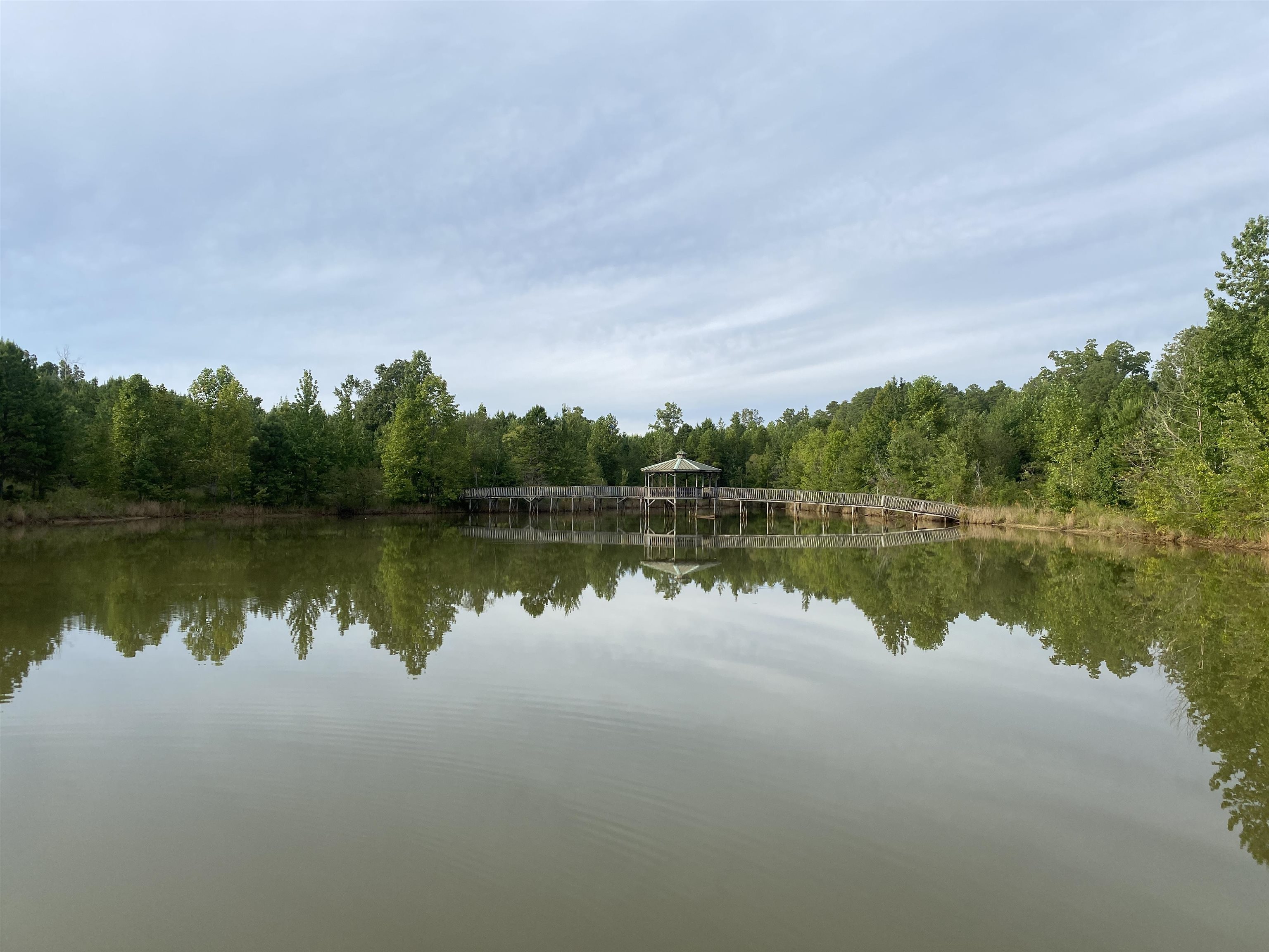 1 Bruton Road Savannah, TN 38372 - Photo 16 of 38 a view of lake
