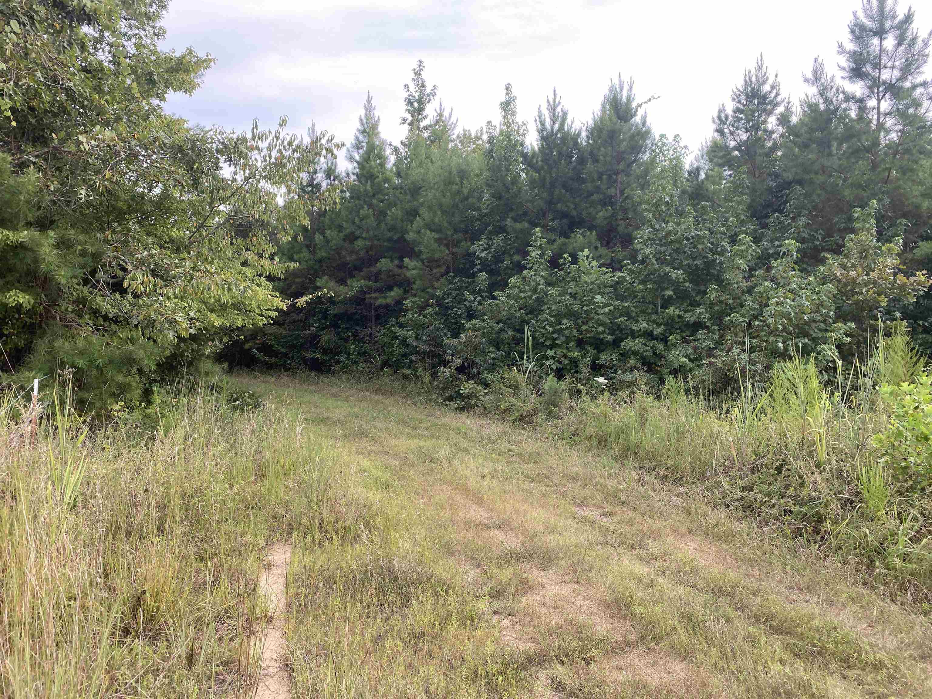1 Bruton Road Savannah, TN 38372 - Photo 19 of 38 a view of a lake view