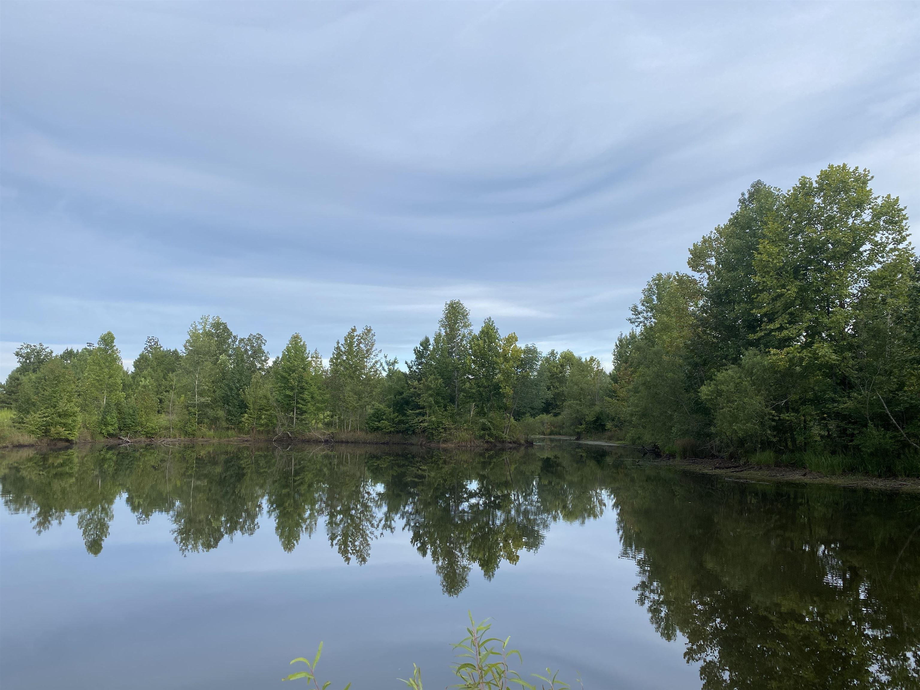 1 Bruton Road Savannah, TN 38372 - Photo 23 of 38 a view of a lake with houses in the back