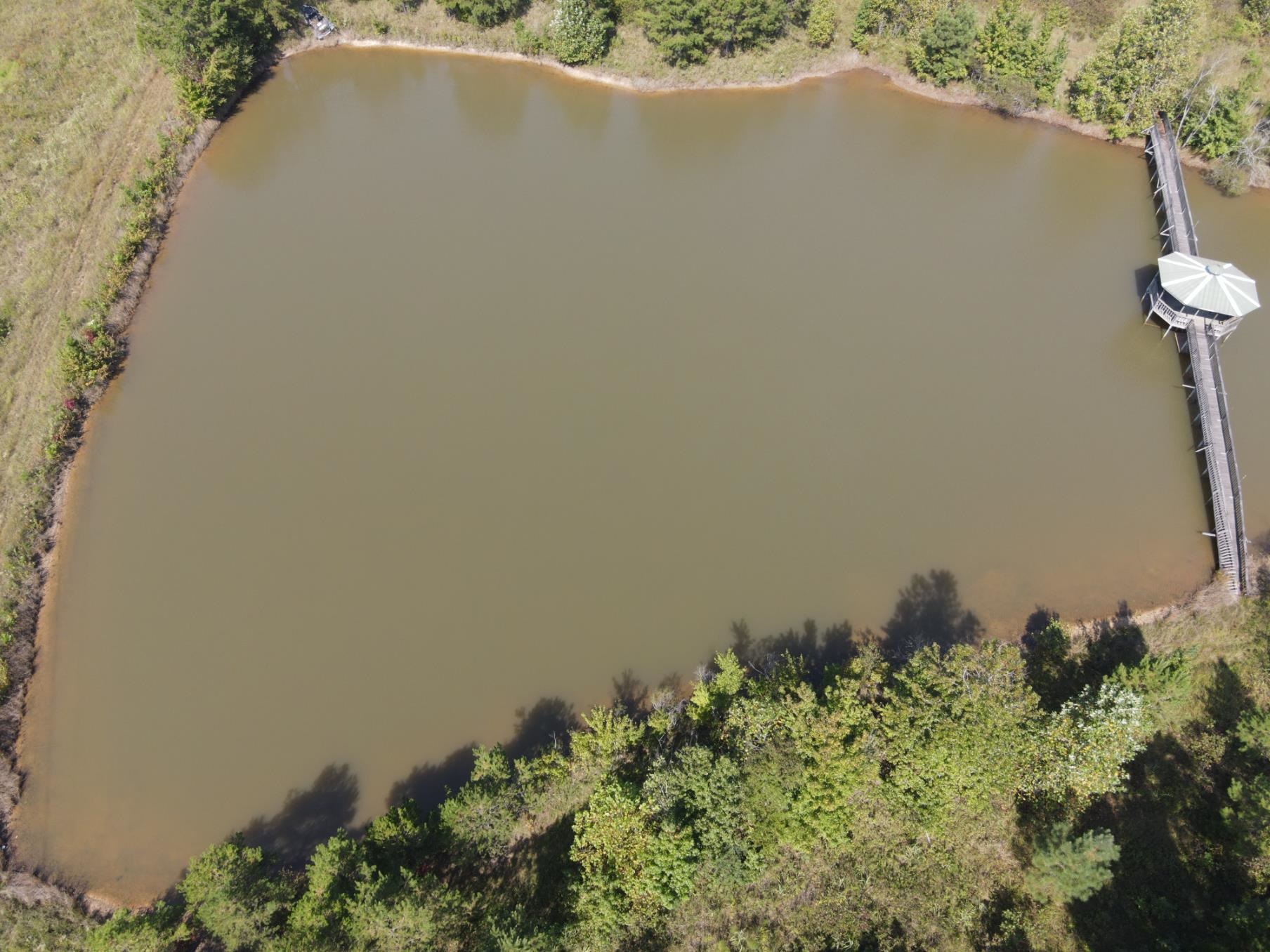 1 Bruton Road Savannah, TN 38372 - Photo 26 of 38 view of a lake with a mountain