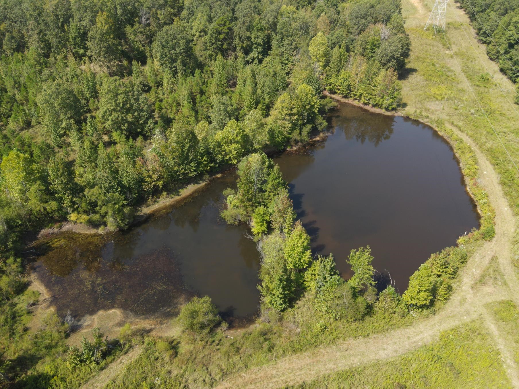 1 Bruton Road Savannah, TN 38372 - Photo 28 of 38 a view of a garden with a lake