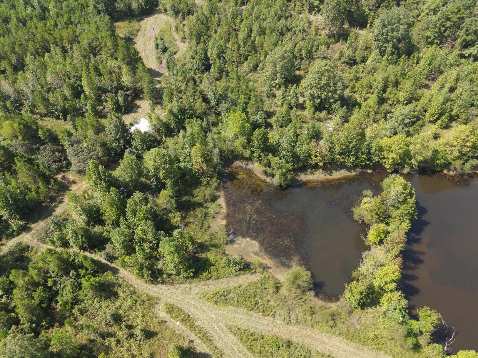 1 Bruton Road Savannah, TN 38372 - Photo 29 of 38 a view of a garden with a lake