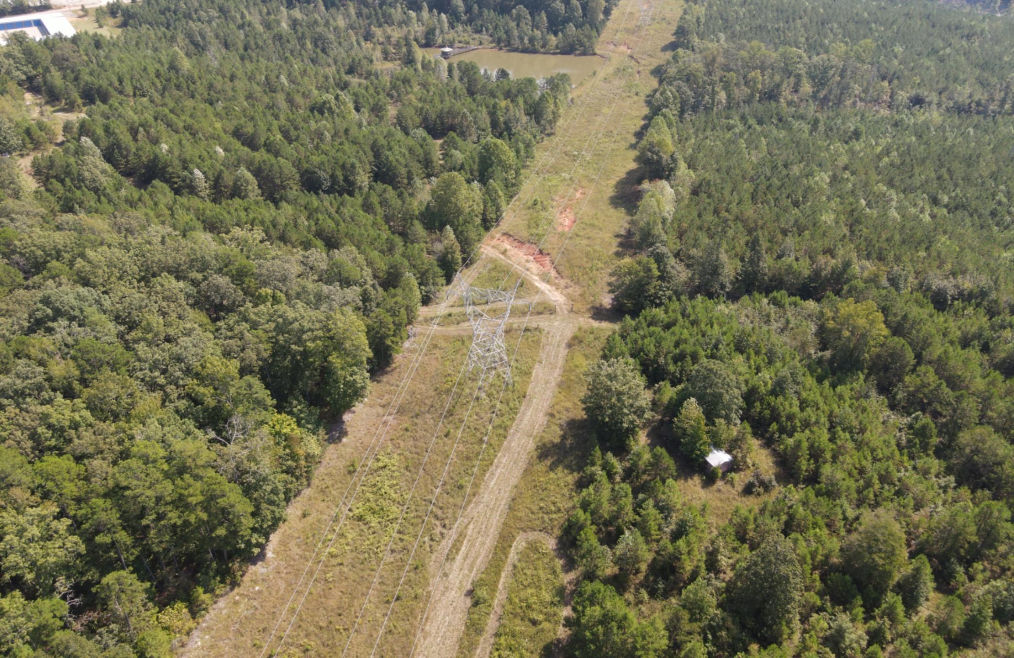 1 Bruton Road Savannah, TN 38372 - Photo 31 of 38 a view of a yard with trees