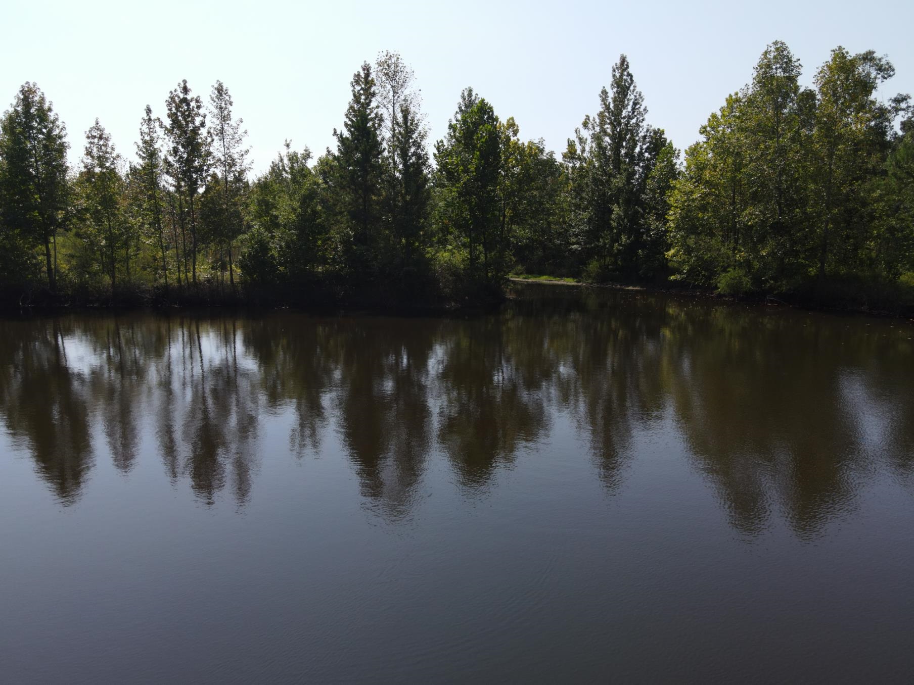 1 Bruton Road Savannah, TN 38372 - Photo 32 of 38 a lake view with a lake view