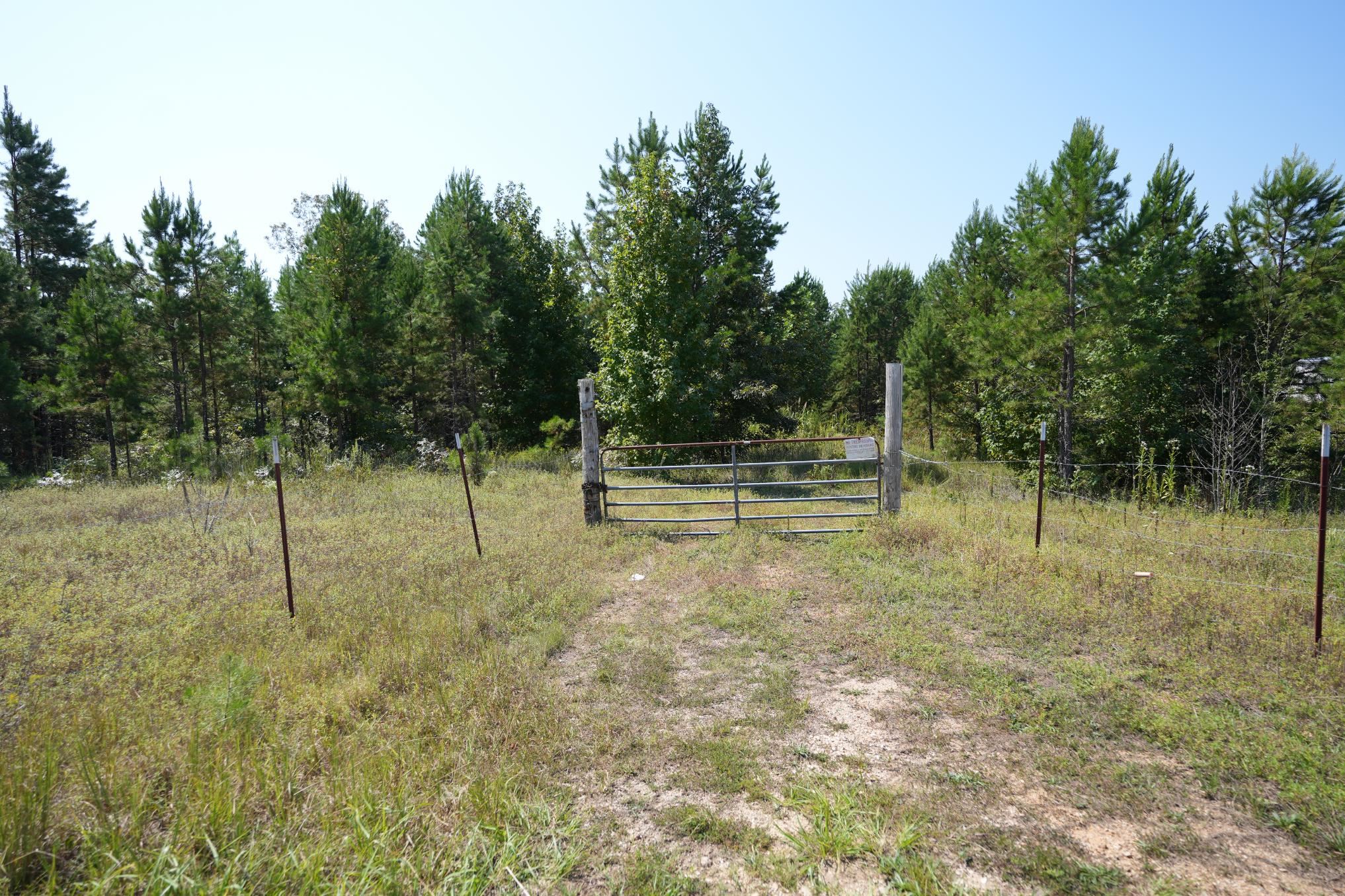 1 Bruton Road Savannah, TN 38372 - Photo 38 of 38 a view of a yard with a tree