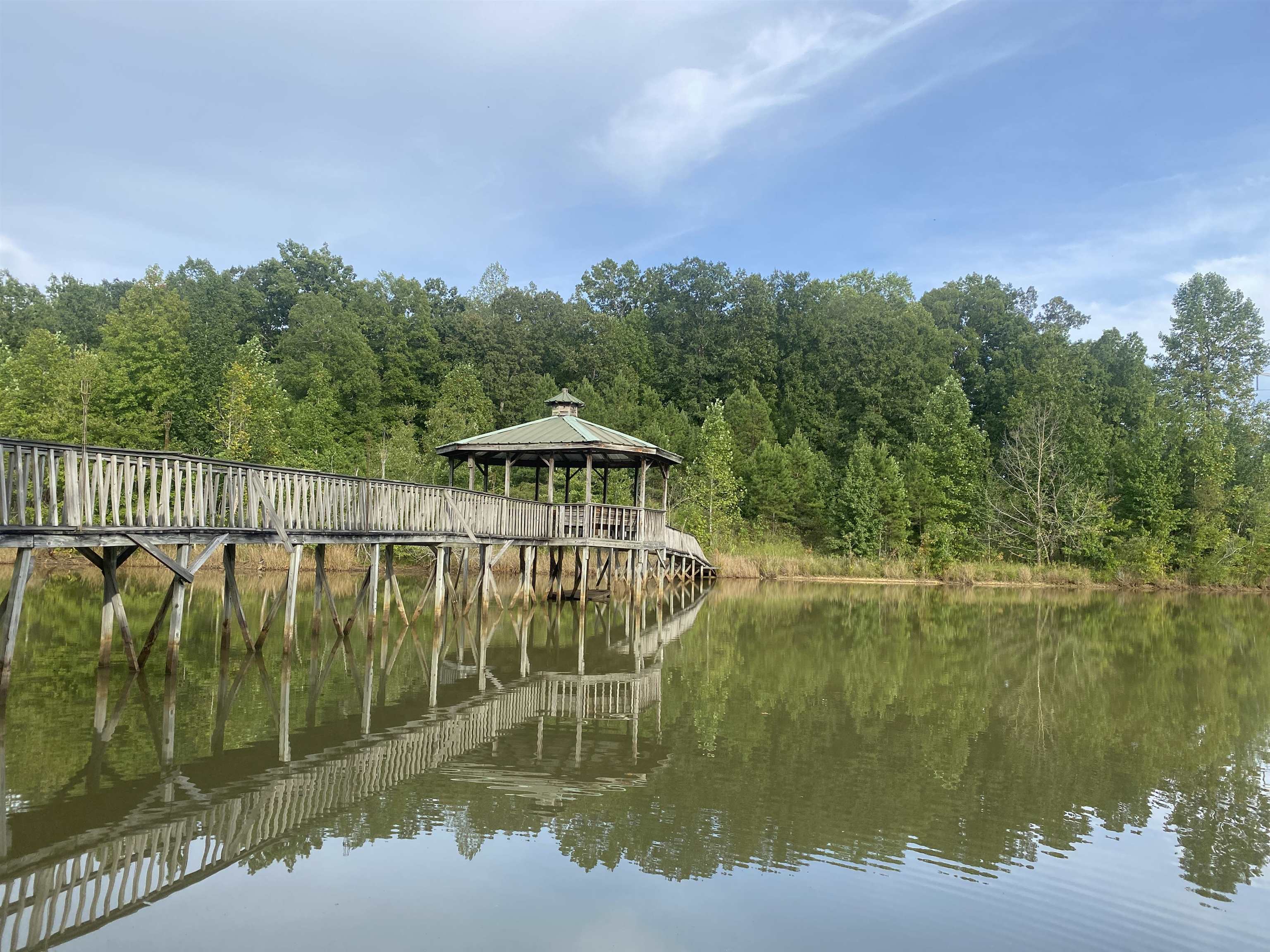 1 Bruton Road Savannah, TN 38372 - Photo 5 of 38