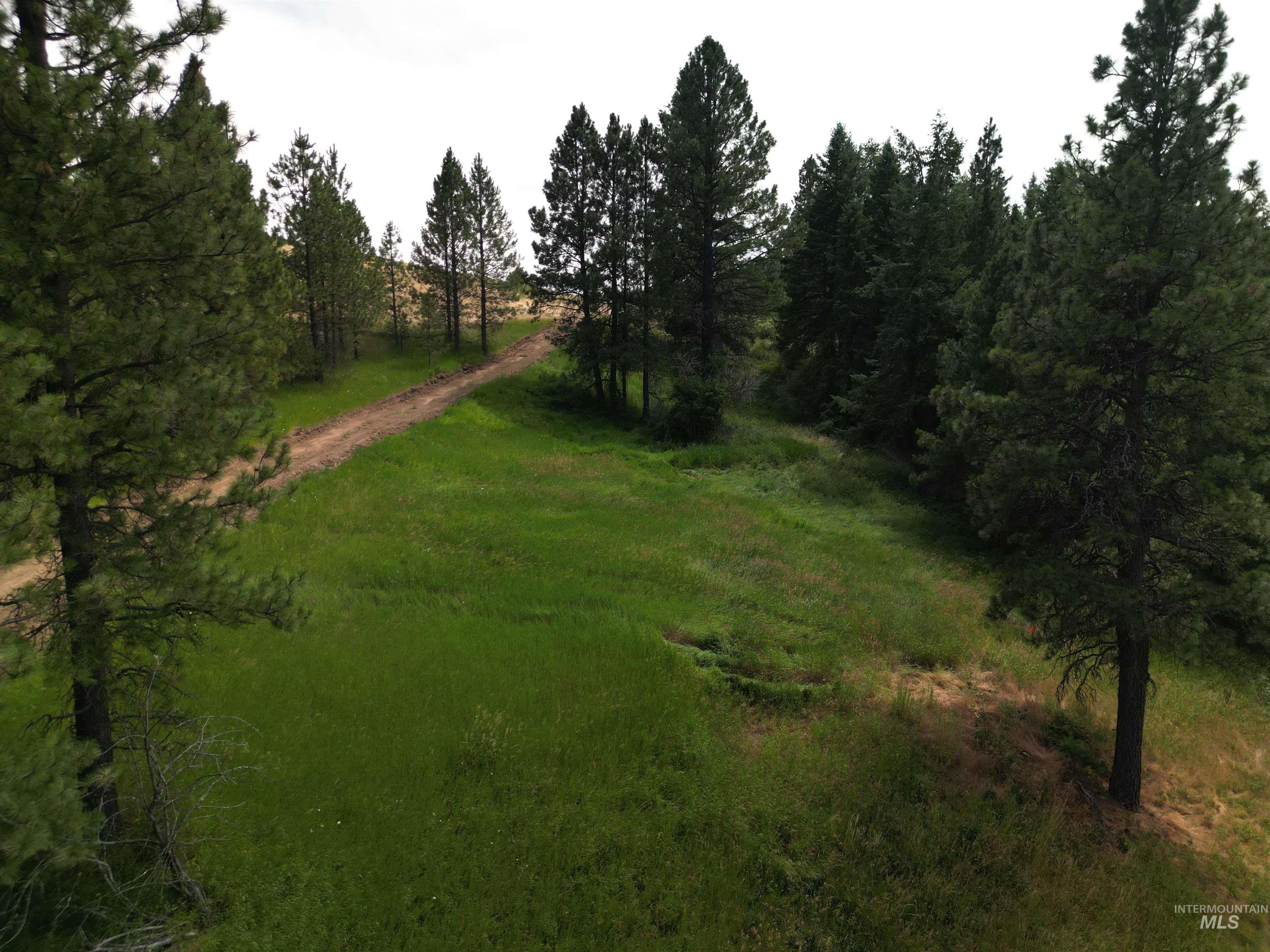0 Parkins Road Troy, ID 83871 - Photo 3 of 33