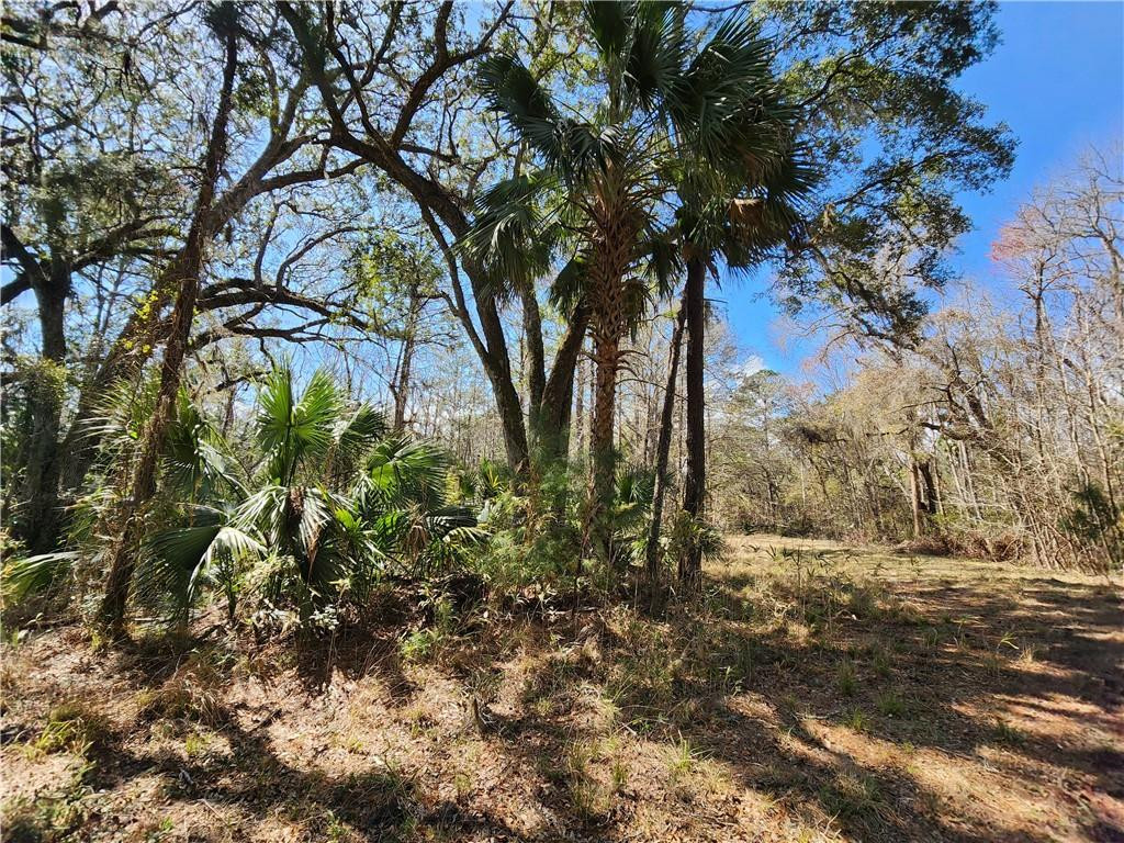 1012 Star Ranch Road Brunswick, GA 31523 - Photo 29 of 43